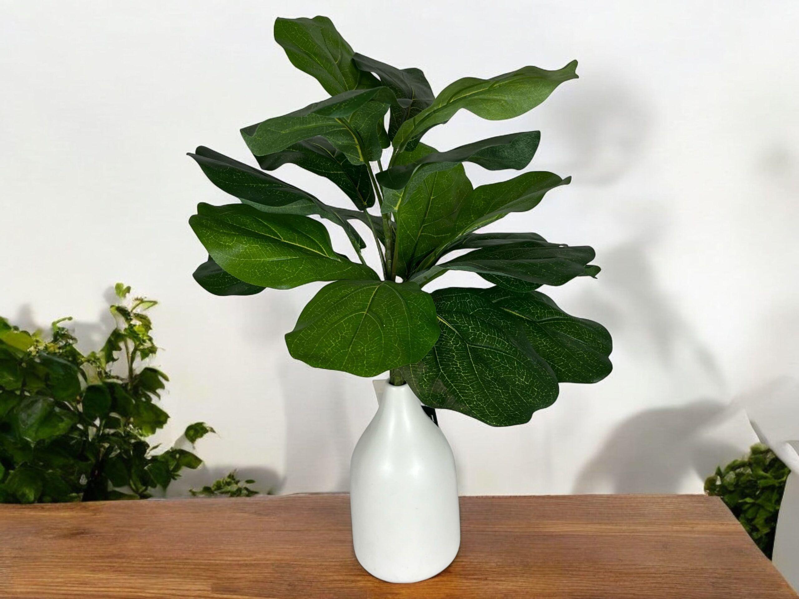Ramo Ficus Lyrata UV 56cm Artificial | Estilo Natural para Interiores y Vitrinas-4