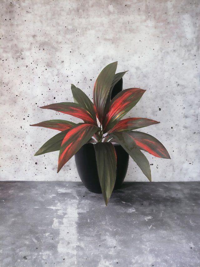 Planta Cordyline 56cm Artificial | Estilo Natural para Interiores y Vitrinas-2