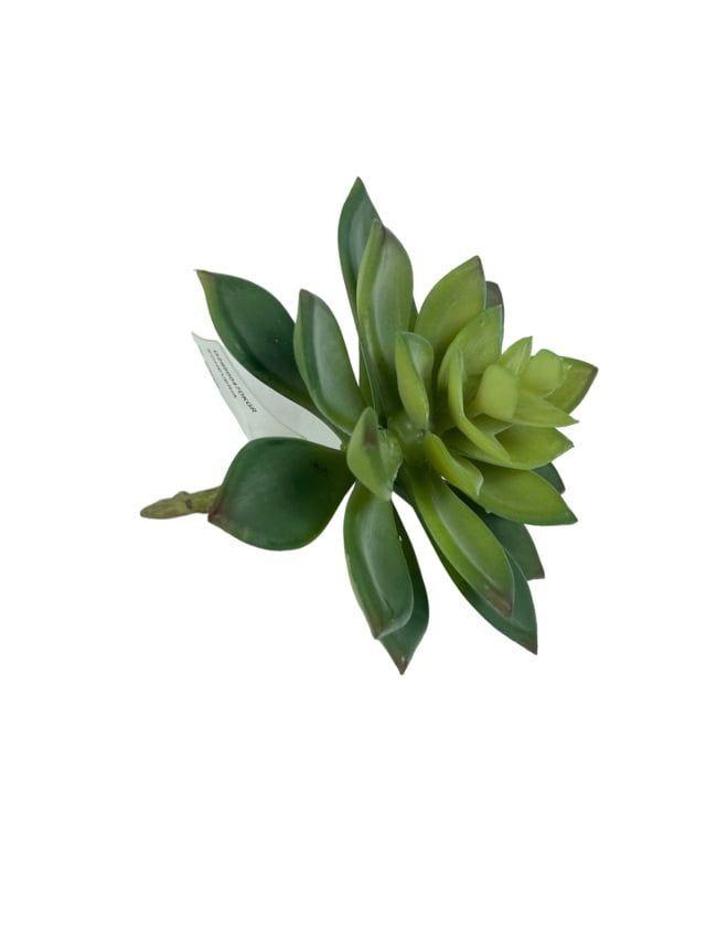 Cactus Echeveria Gris 14cm Artificial | Estilo Natural para Interiores y Vitrinas-2