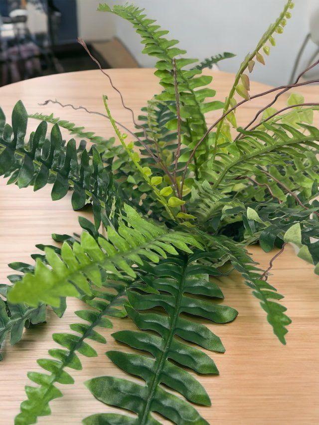 Helecho Boston 50cm Artificial | Estilo Natural para Interiores y Vitrinas-2