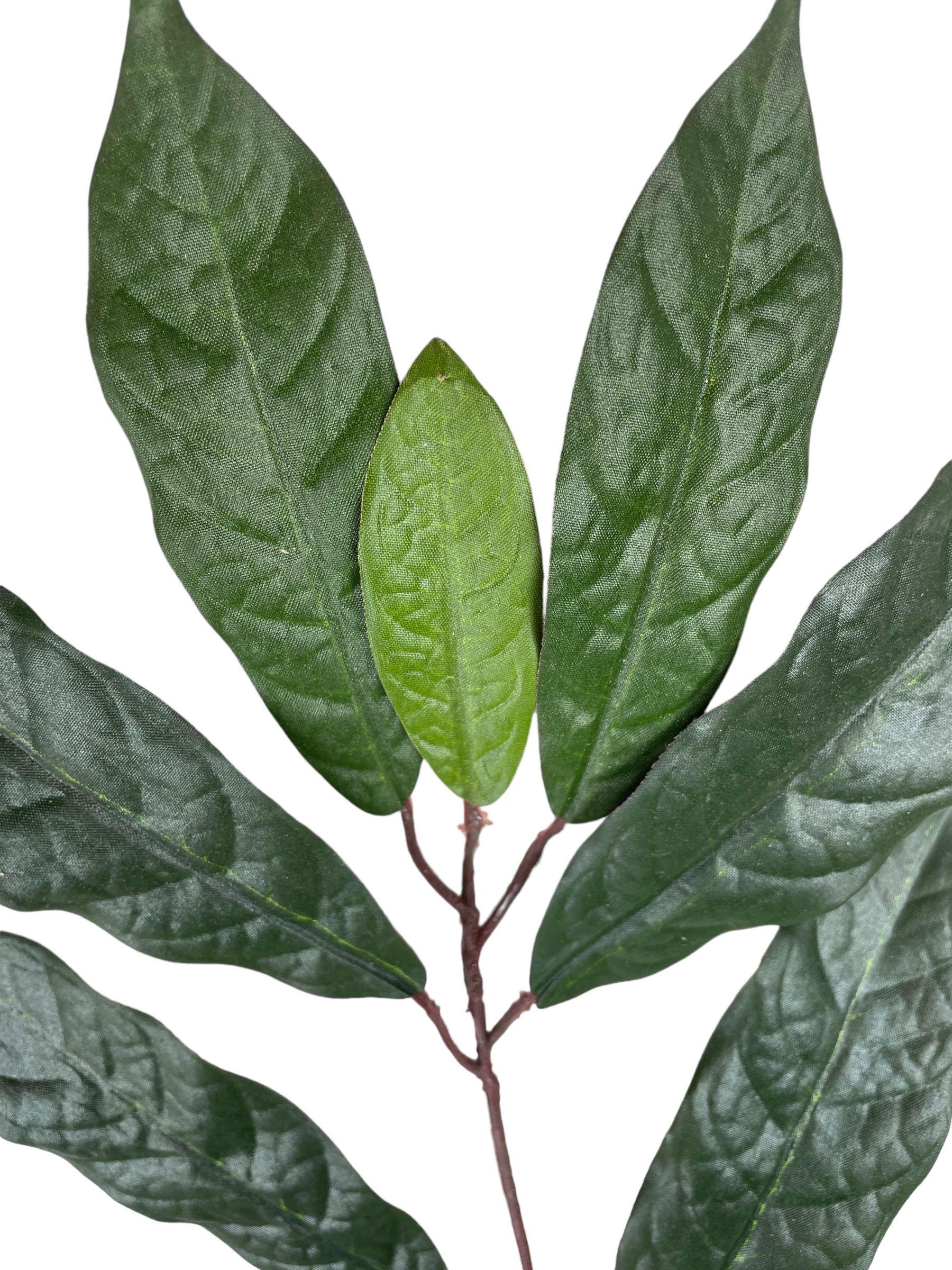 Planta Decorativa Rama Ficus Verde-Mauve 50cm-2