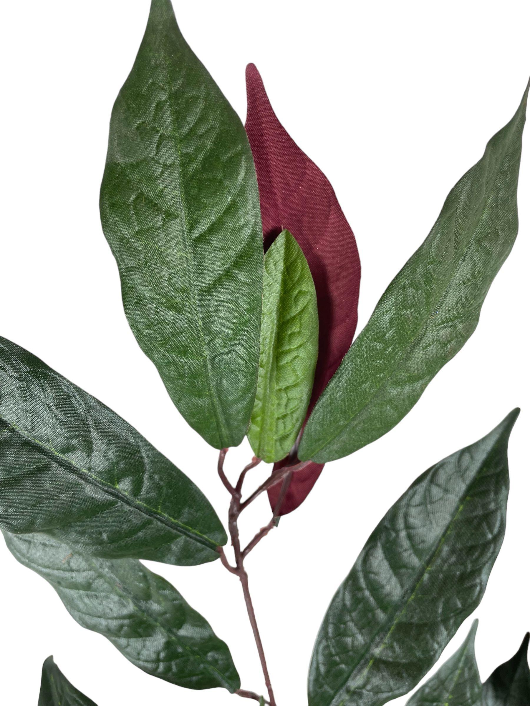 Planta Decorativa Rama Ficus Verde-Mauve 50cm-3