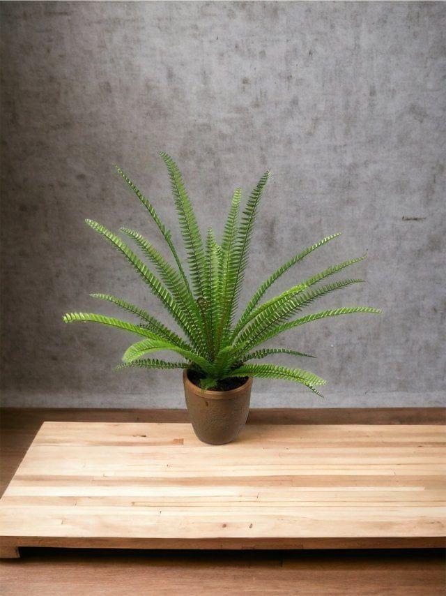 Helecho Espada Artificial 61cm Artificial | Estilo Natural para Interiores y Vitrinas-3