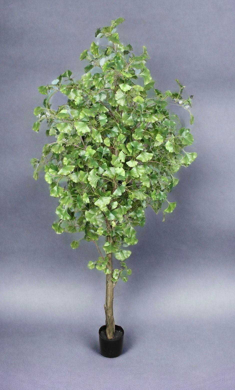 Planta Decorativa Arbol De Ginko 180Cm-2