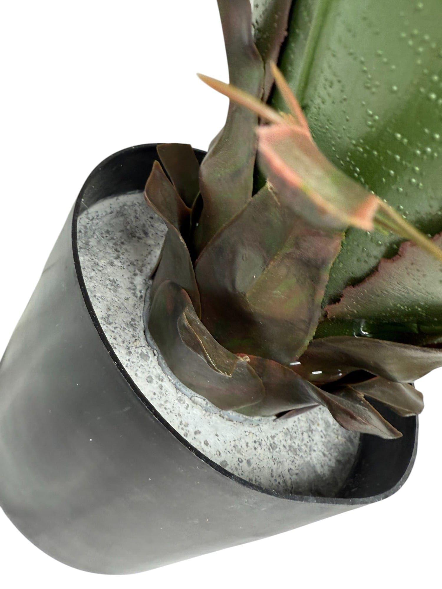 Agave de 56 cm UV Artificial | Estilo Natural para Interiores y Vitrinas-2