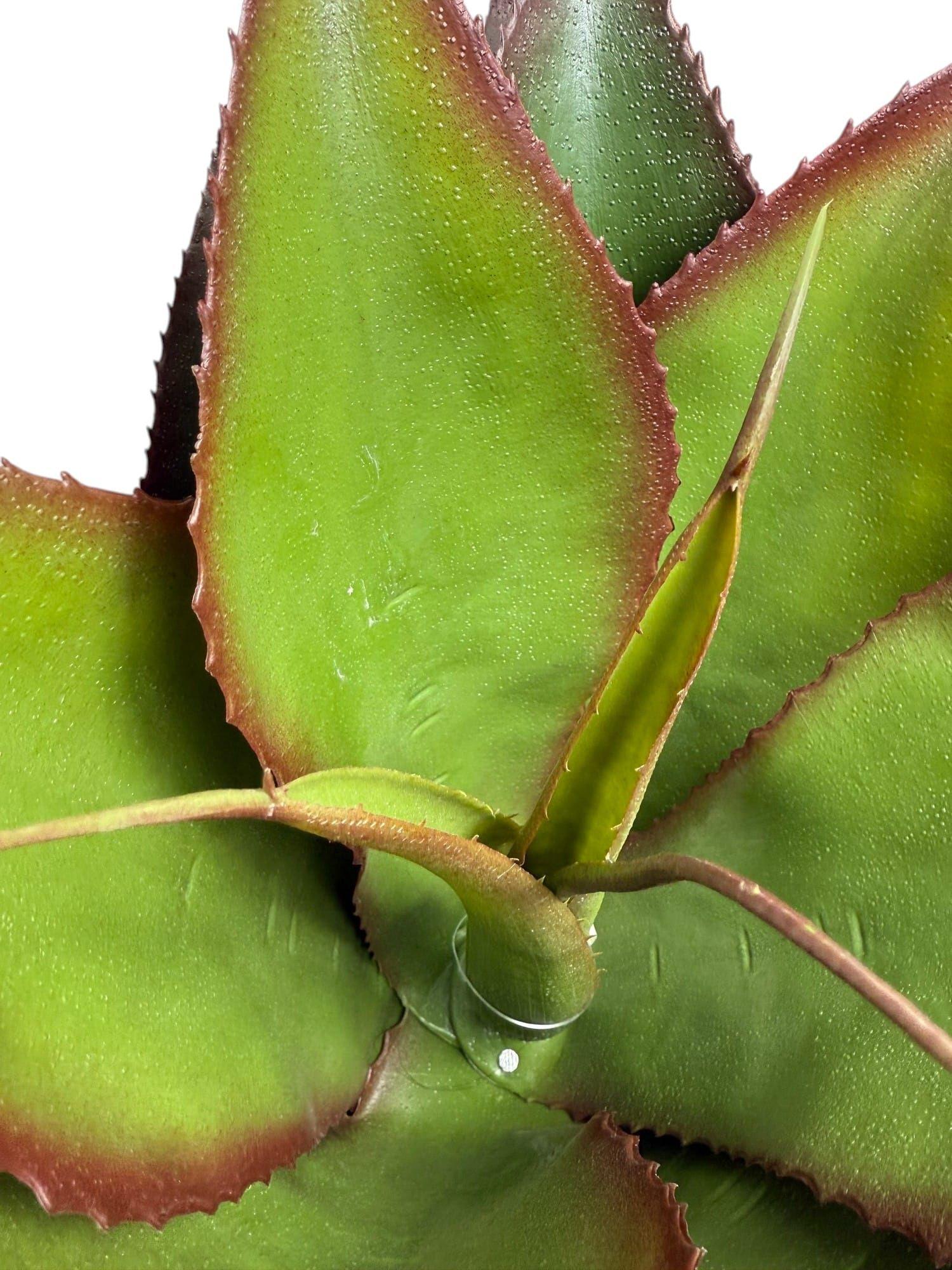 Agave de 56 cm UV Artificial | Estilo Natural para Interiores y Vitrinas-3