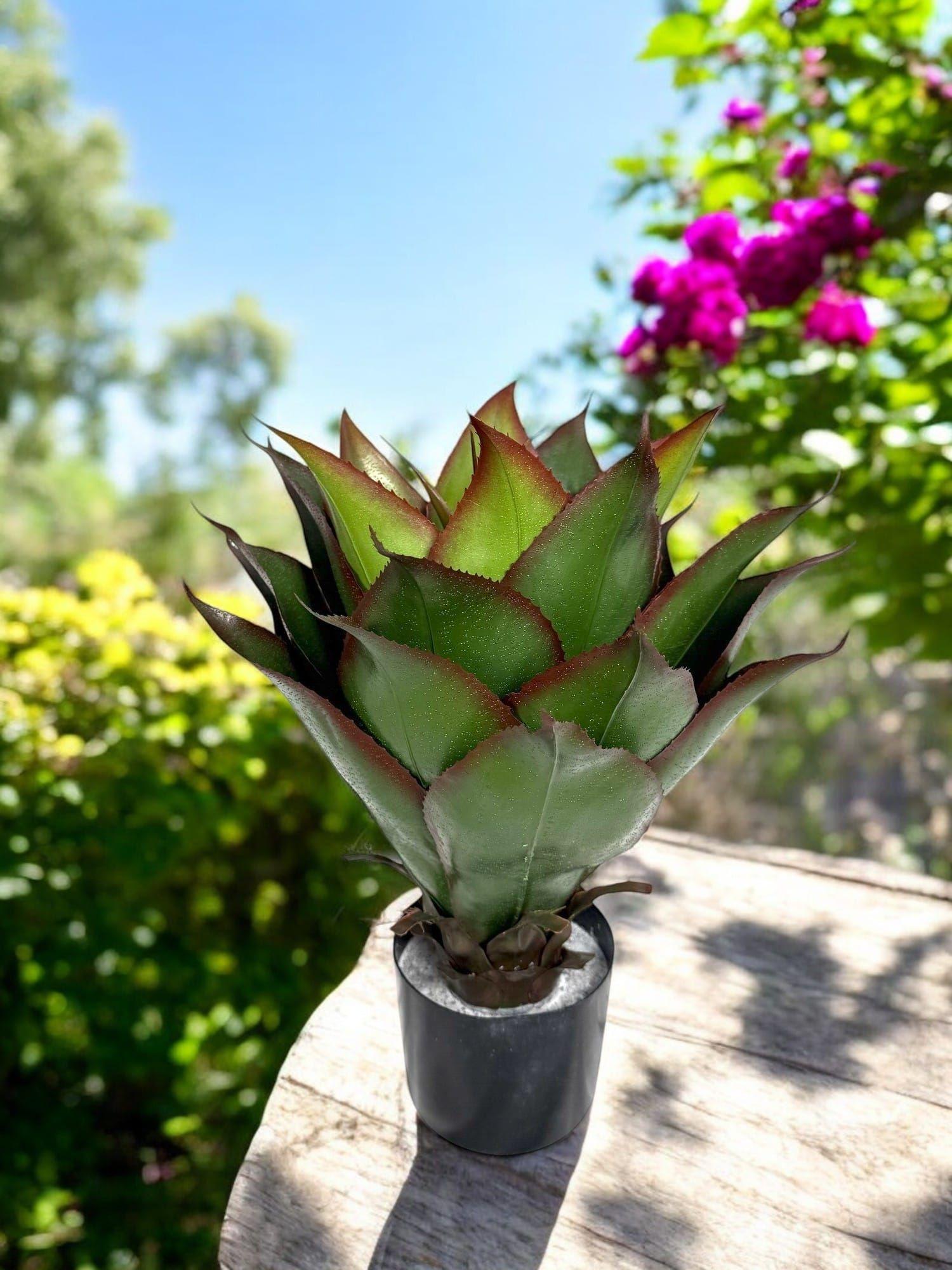 Agave de 56 cm UV Artificial | Estilo Natural para Interiores y Vitrinas-4