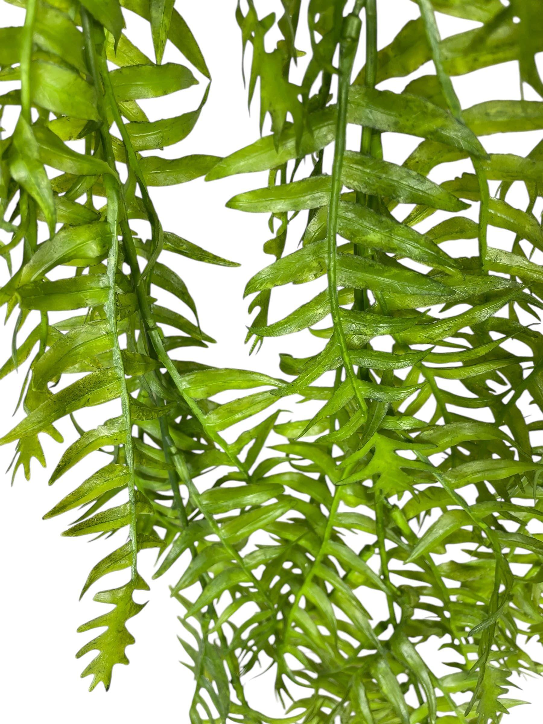 Ramo Colgante Helecho 95cm Artificial | Estilo Natural para Interiores y Vitrinas-2