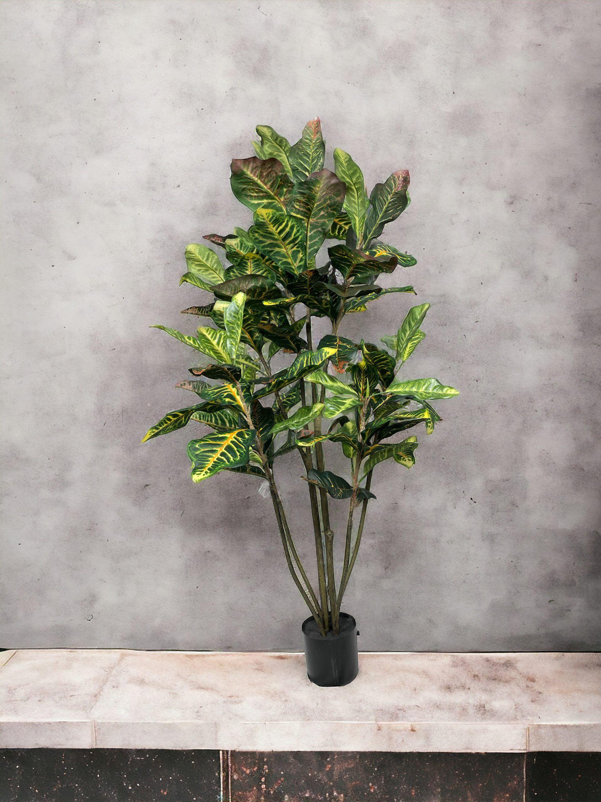 Arbol Croton 120cm-3