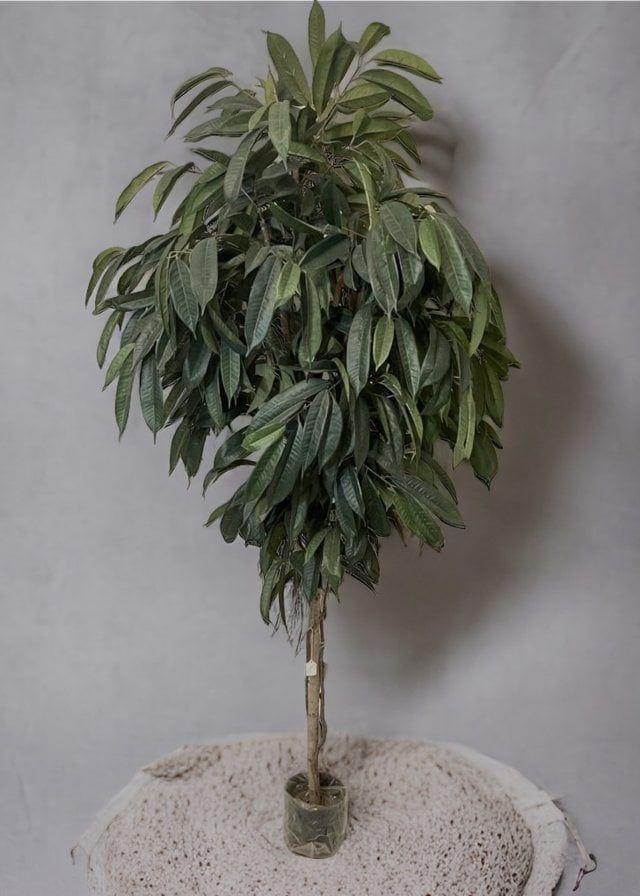 Ficus Alli 2.1mt Artificial | Estilo Natural para Interiores y Vitrinas-2