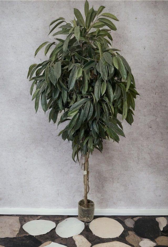 Ficus Alli 2.1mt Artificial | Estilo Natural para Interiores y Vitrinas-3