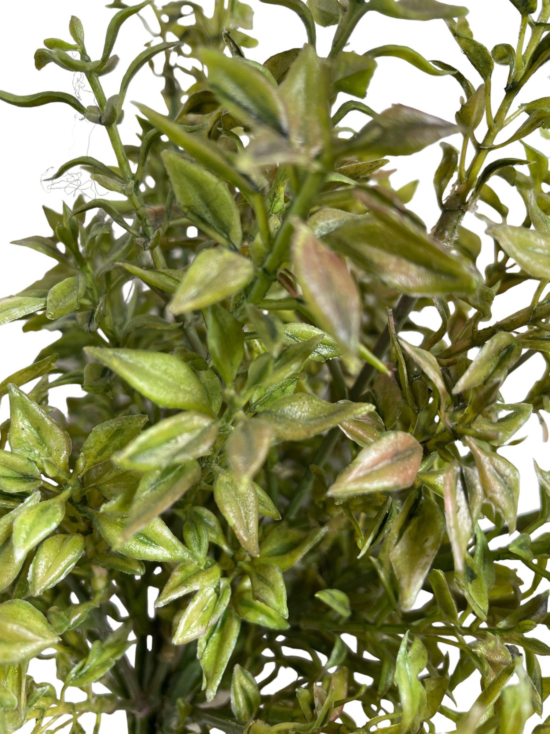  Ramo Tomillo Verde/Rojo 34cm-3
