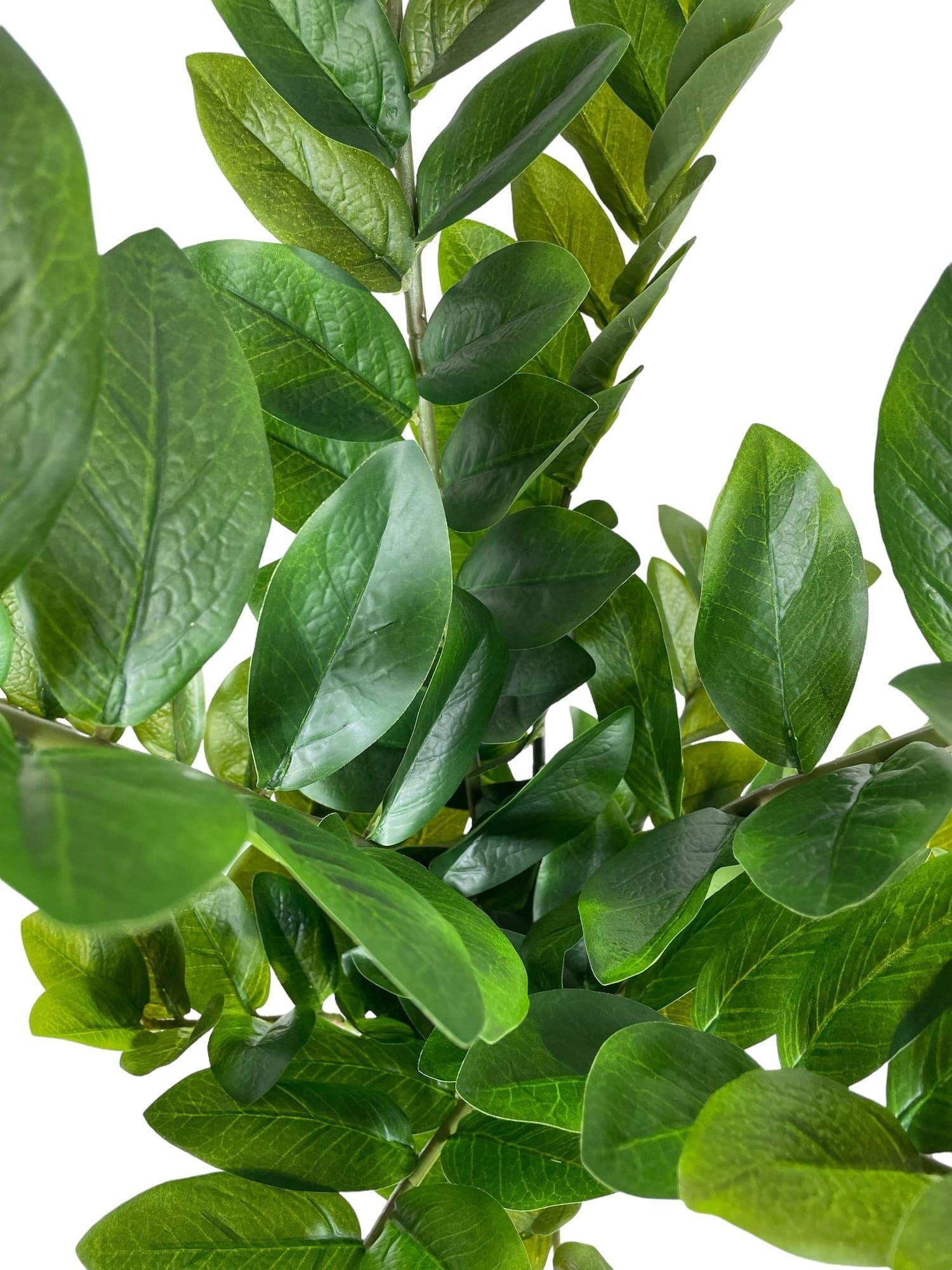 Planta Zamifolia 110cm Artificial | Estilo Natural para Interiores y Vitrinas-3