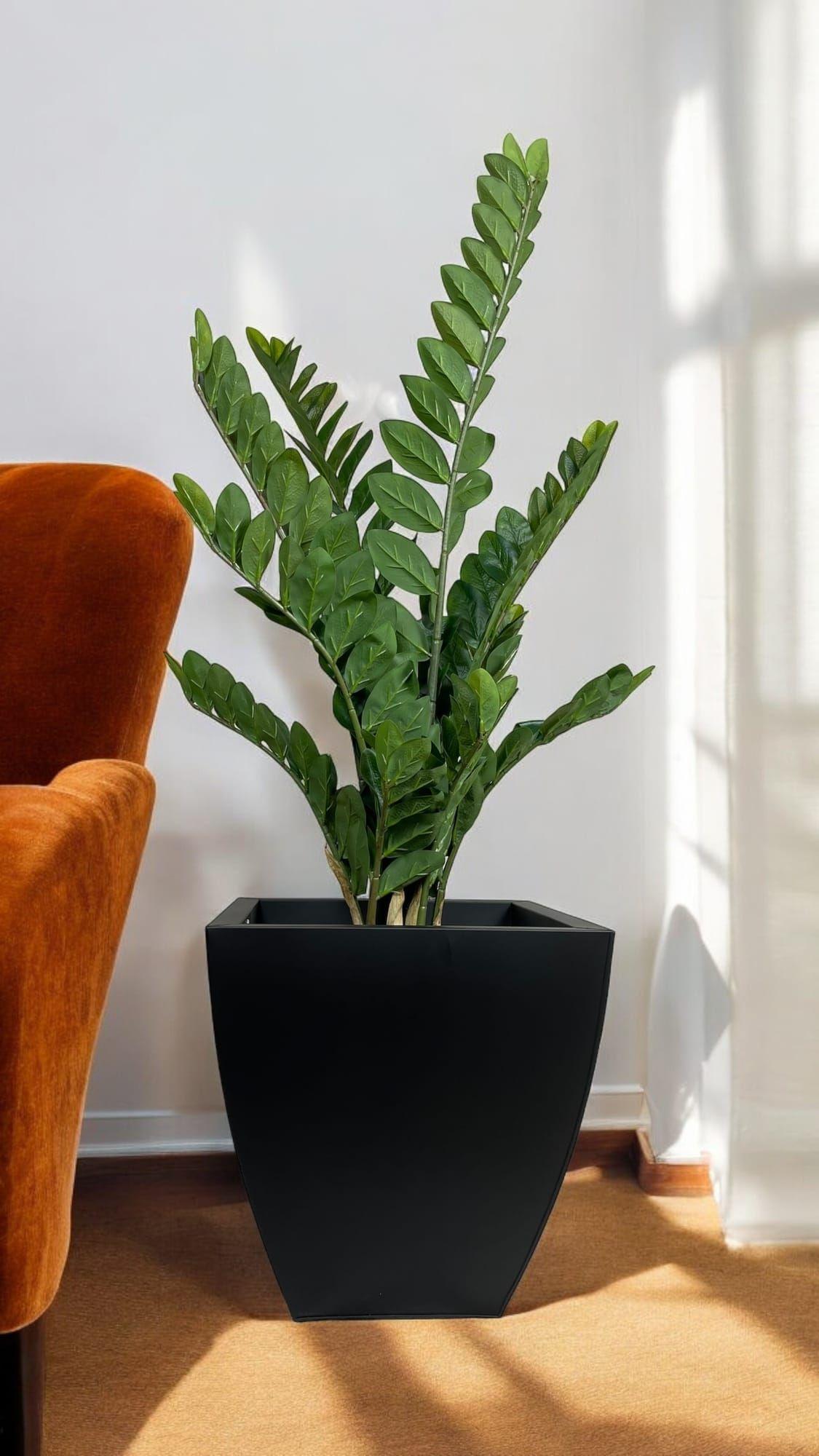 Planta Zamifolia 110cm Artificial | Estilo Natural para Interiores y Vitrinas-4