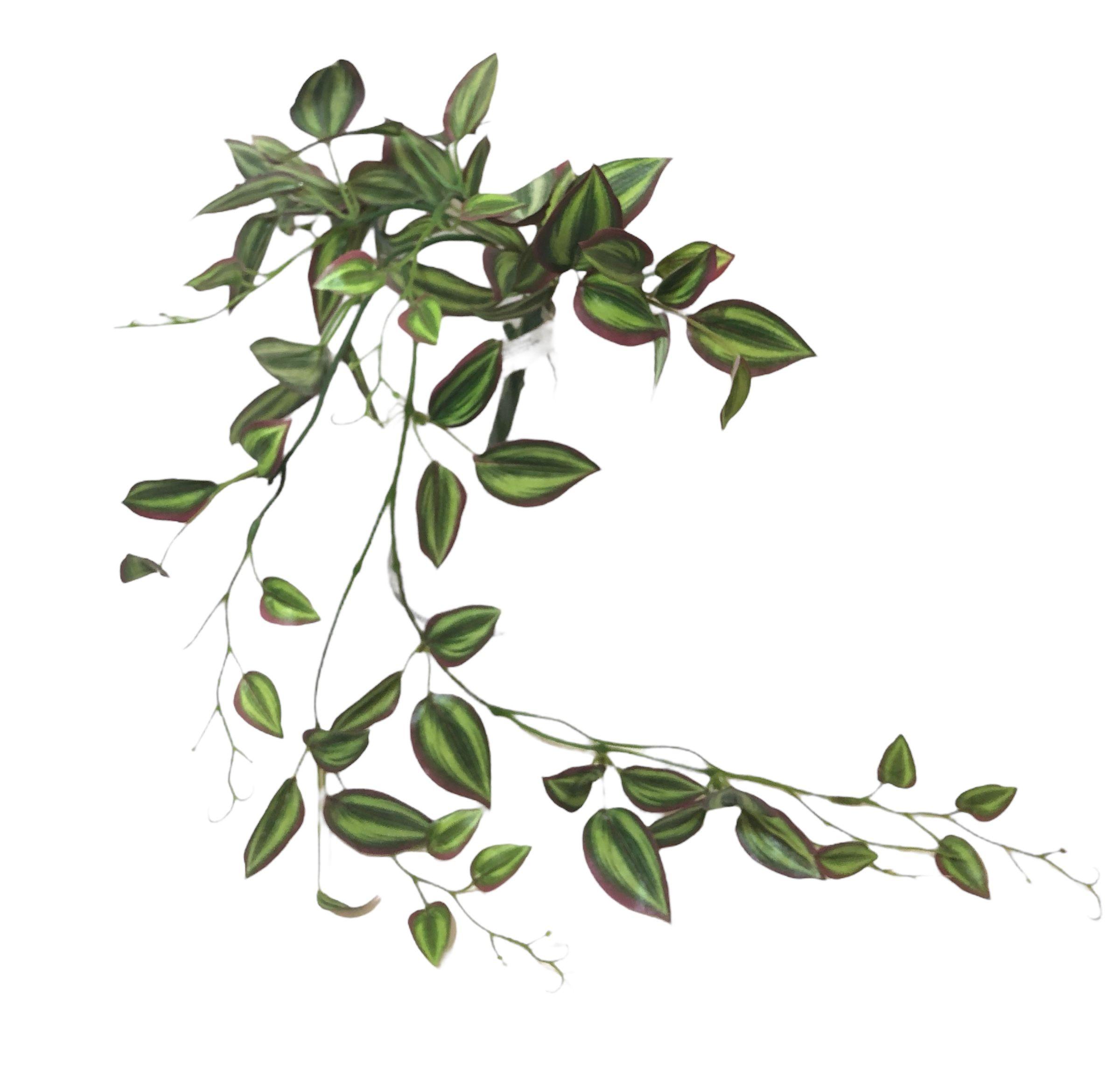 Hiedra Artificial Zebrina 70cm-2