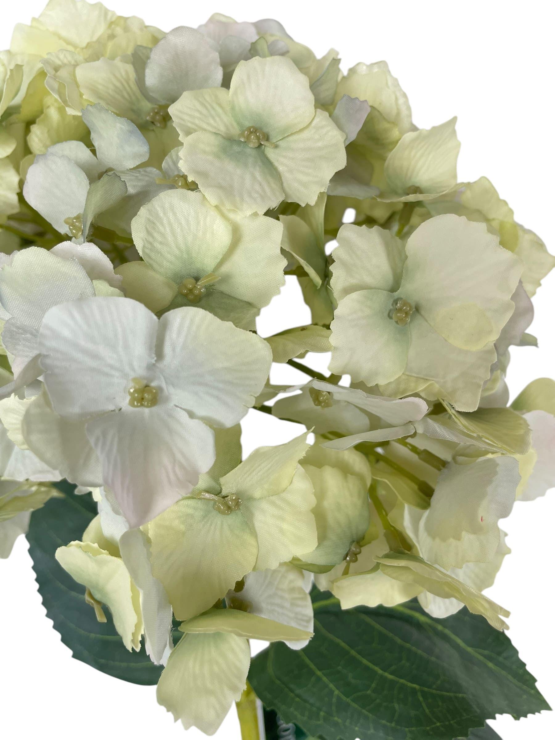 Hortensia blanca celeste con Hojas 82cm Artificial | Estilo Natural para Interiores y Vitrinas-2