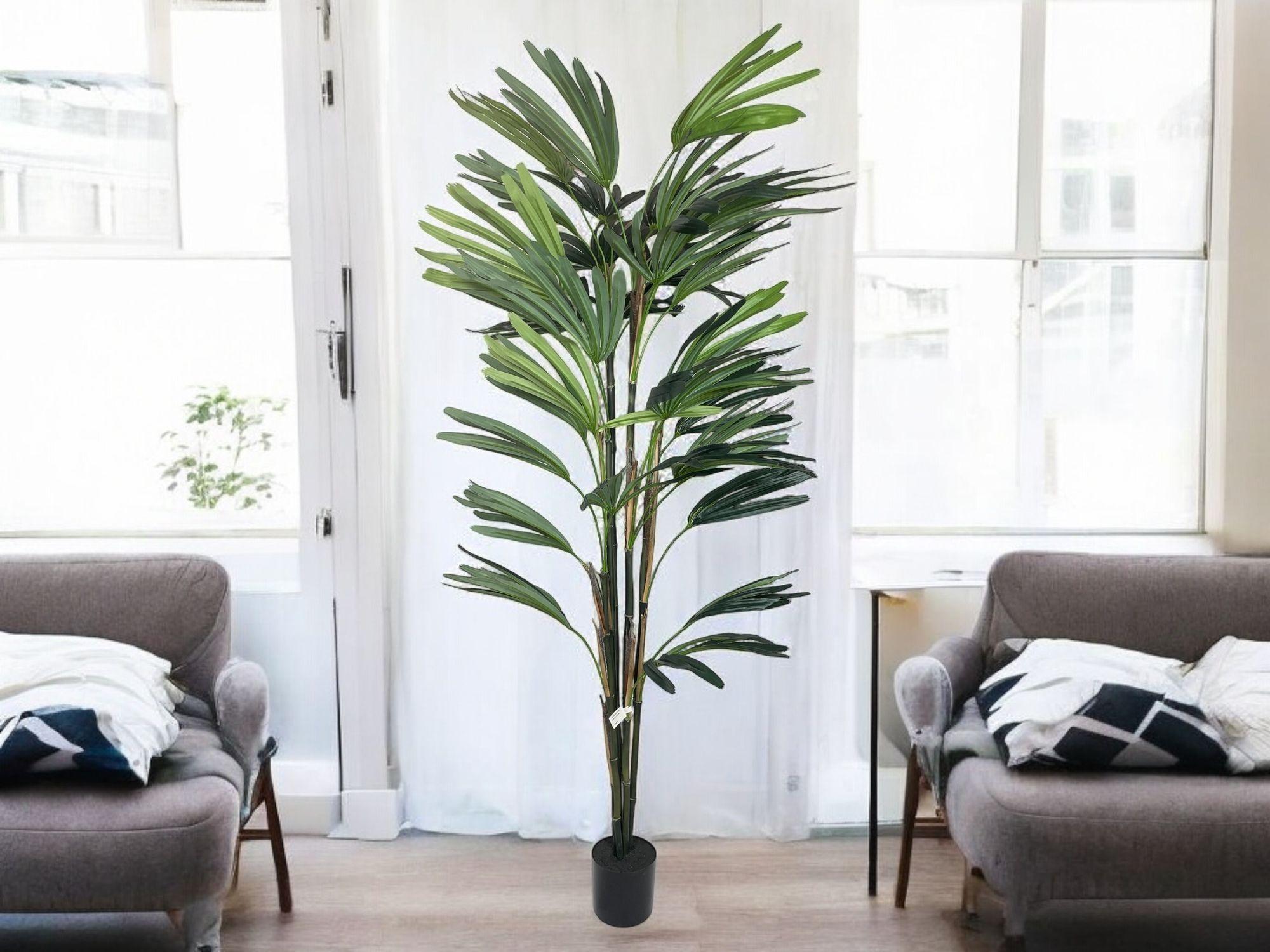 PLANTA DECORATIVA COREL PALMERA RAPHIS 150CM-6