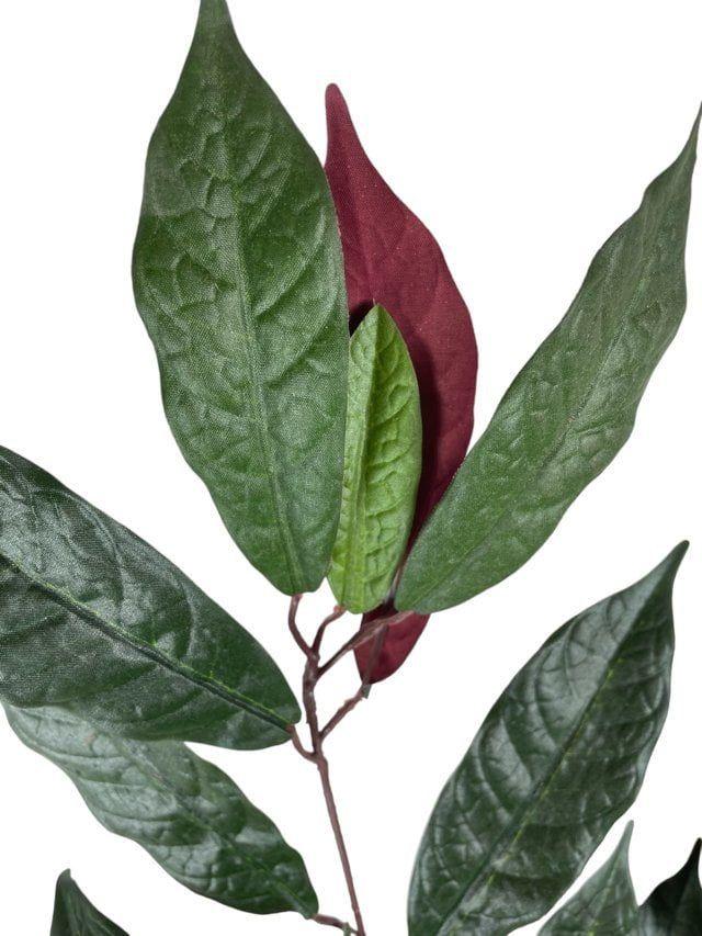 Rama Artificial de Ficus Verde-Mauve 50cm Artificial | Estilo Natural para Interiores y Vitrinas-2