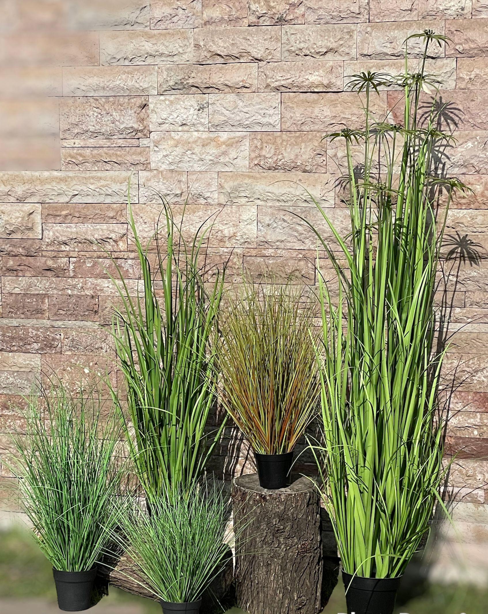 Planta Decorativa Ramo Cypress Rojo-3