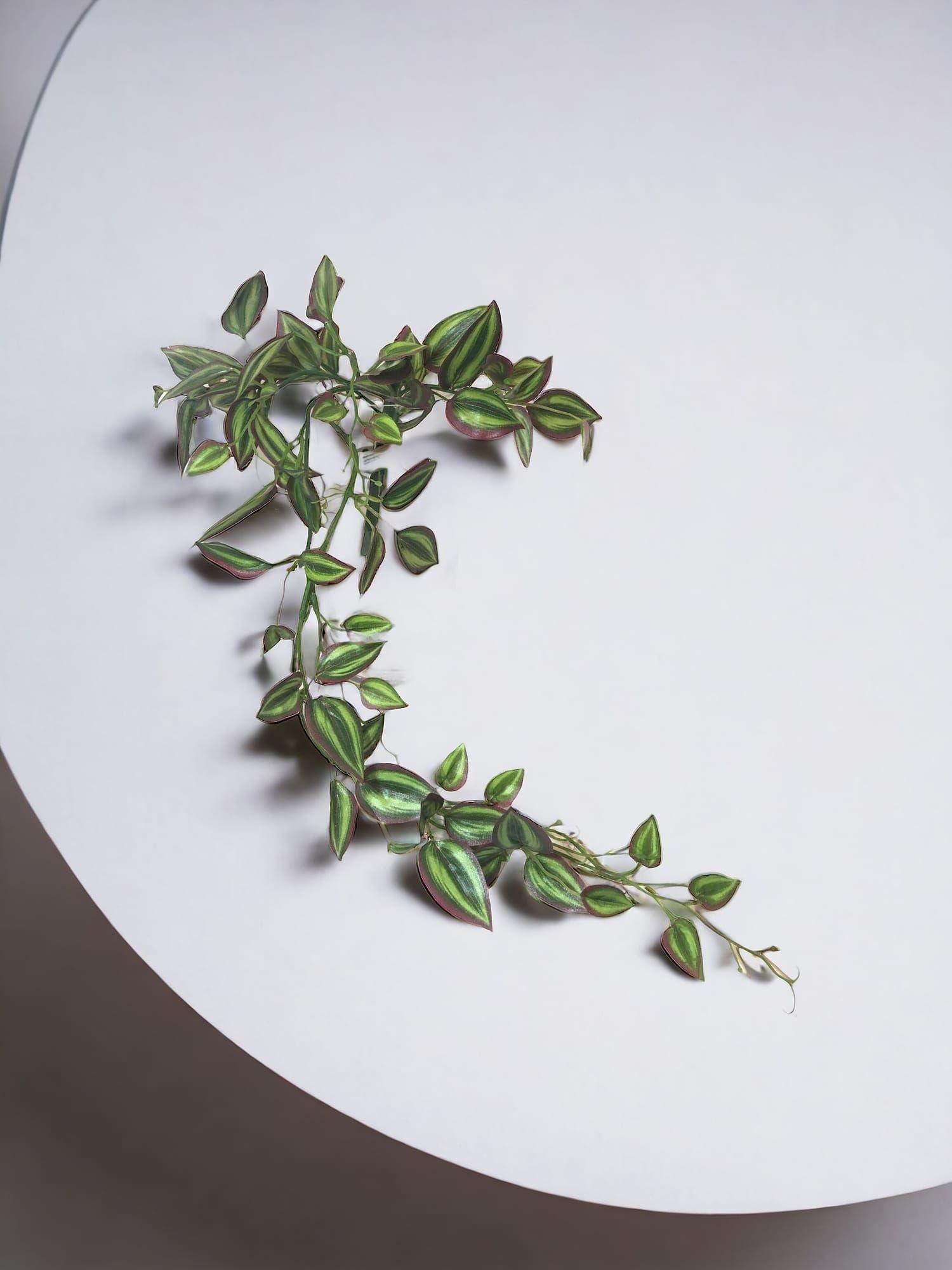 Hiedra Zebrina 70cm Artificial | Estilo Natural para Interiores y Vitrinas-3