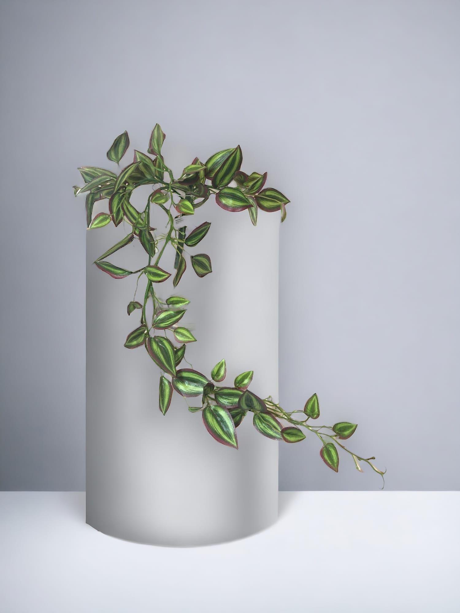 Hiedra Zebrina 70cm Artificial | Estilo Natural para Interiores y Vitrinas-4