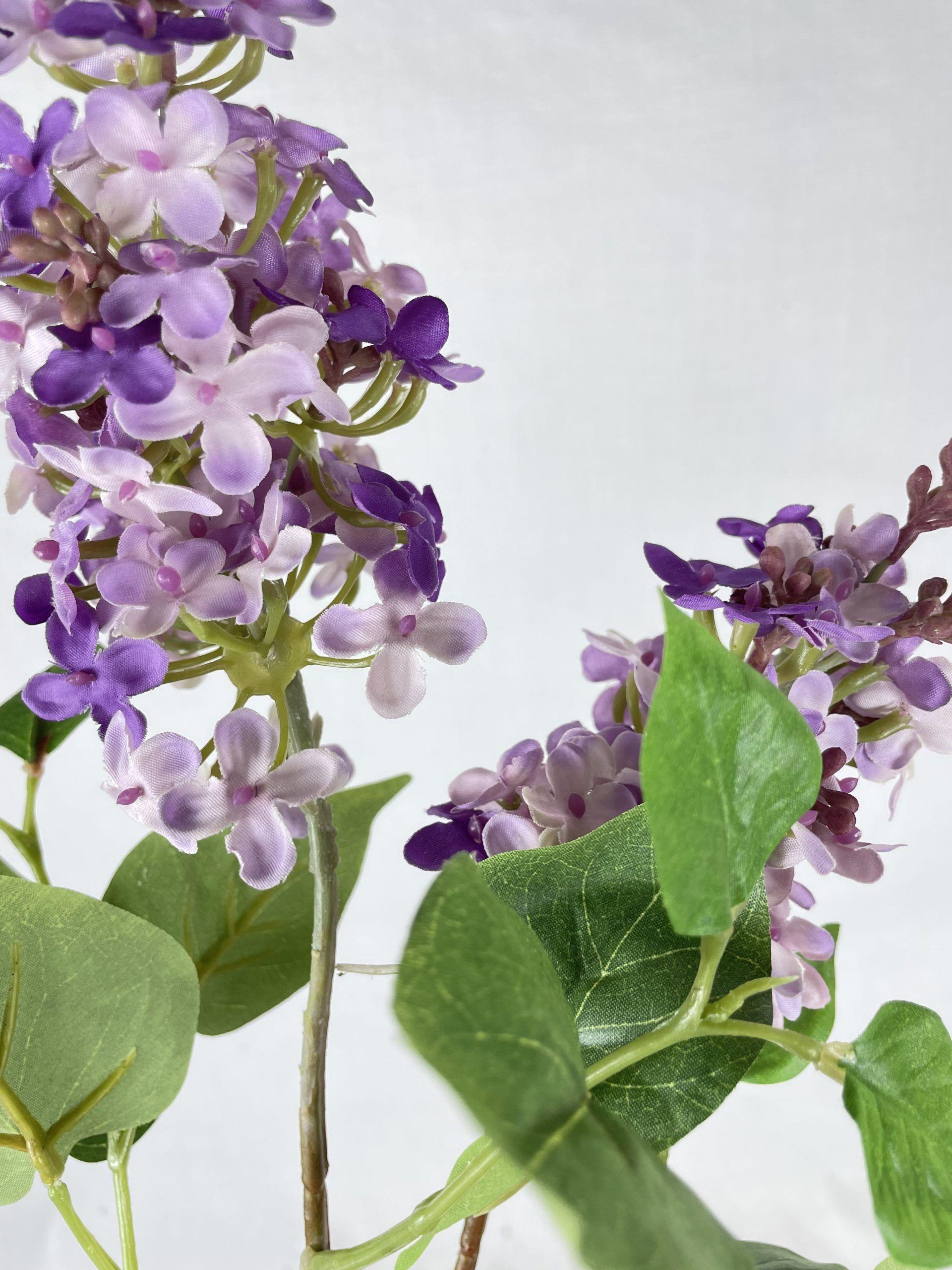 Lila Morada Clara 85cm-2