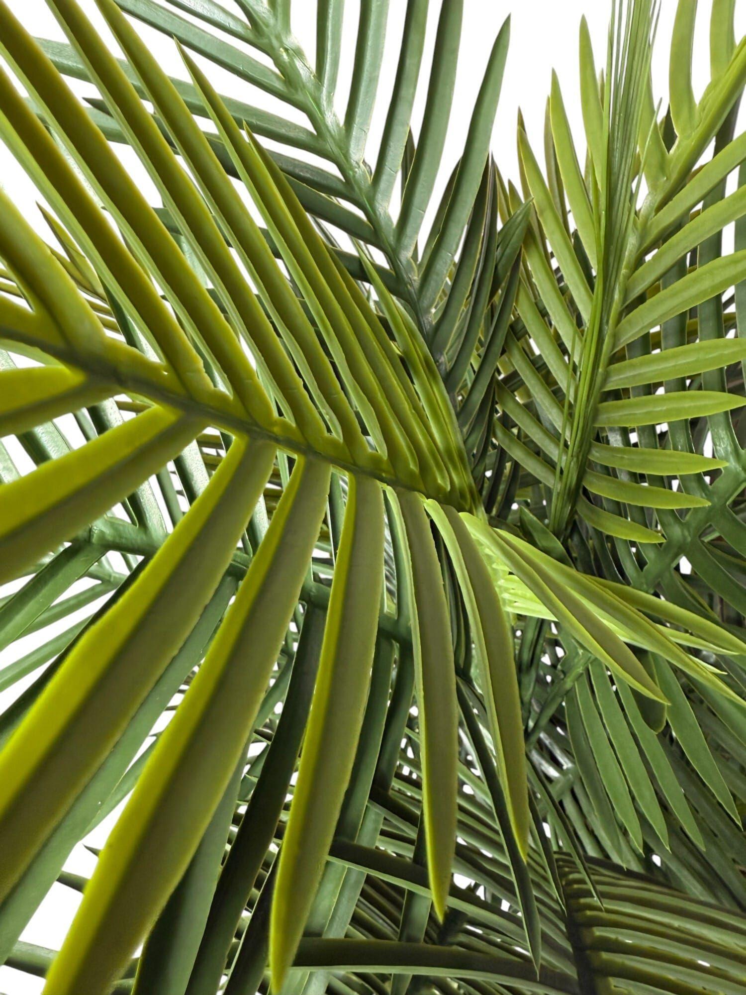 Palmera Robeline 150cm UV Artificial | Estilo Natural para Interiores y Vitrinas-2