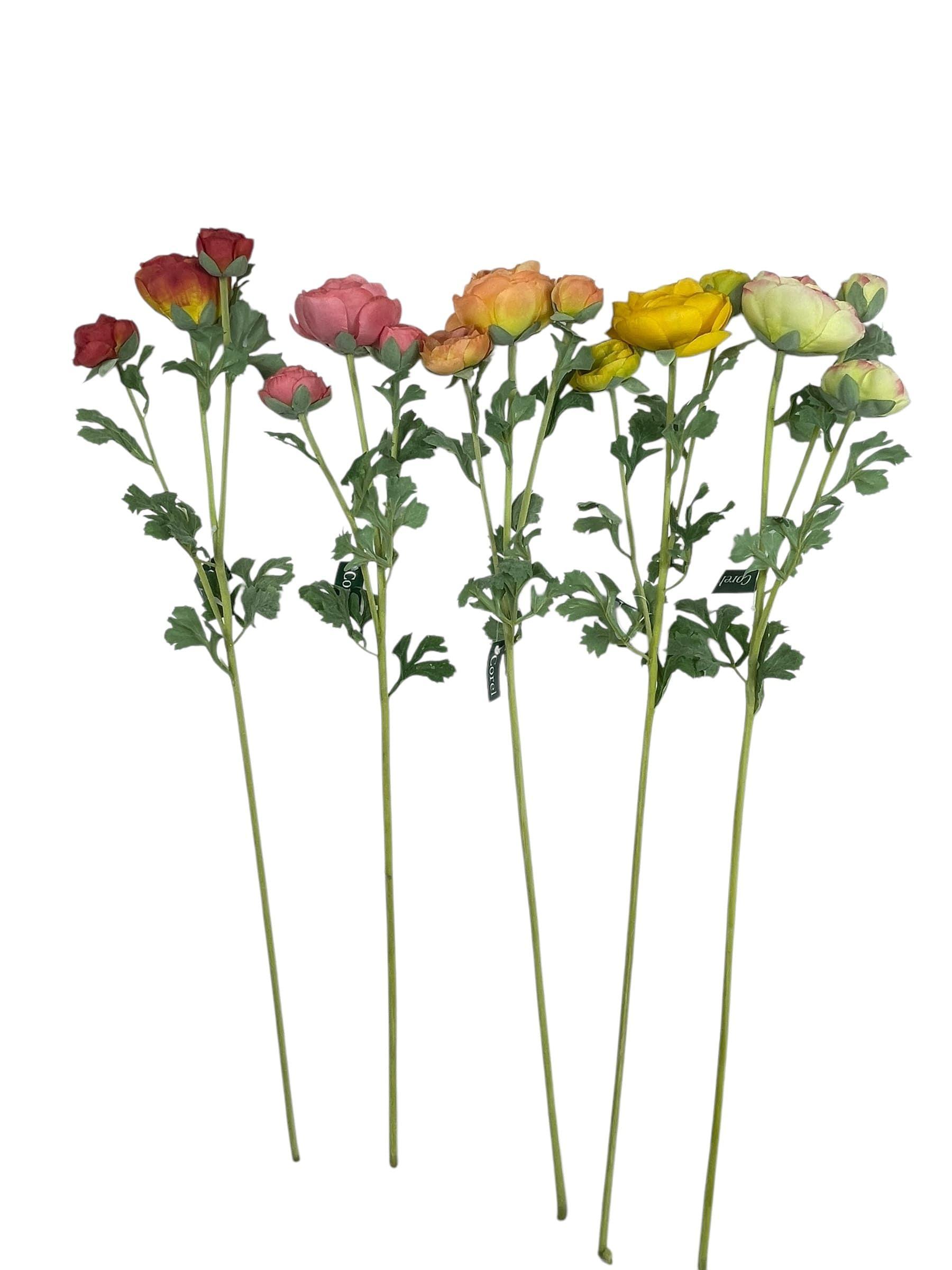 Renúnculo Naranjo Claro 73cm Artificial | Estilo Natural para Interiores y Vitrinas-3