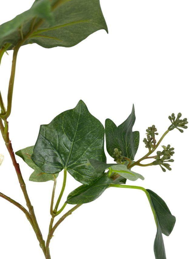 Rama Artificial French Ivy 60cm Artificial | Estilo Natural para Interiores y Vitrinas-2