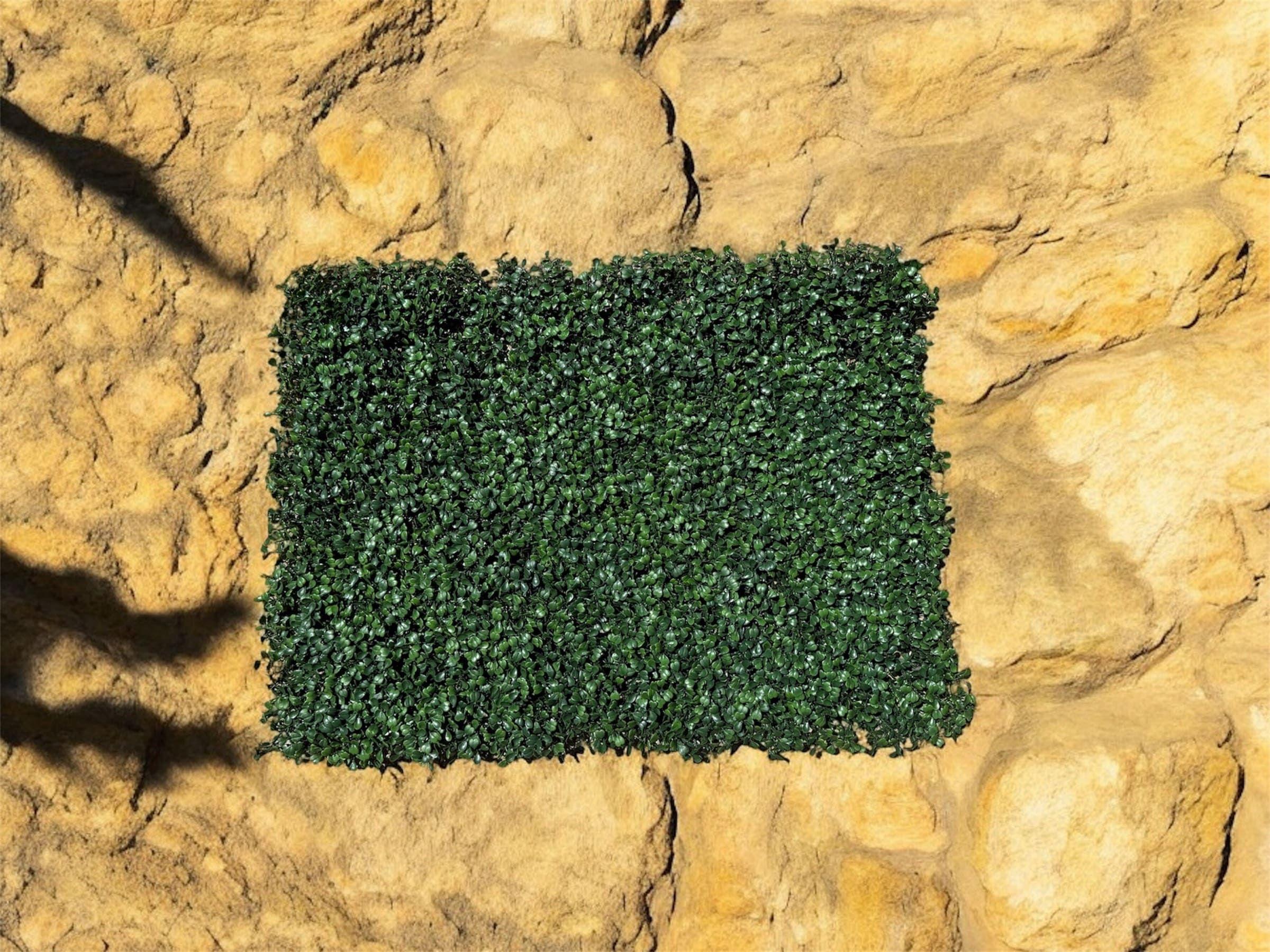 Palmeta Boxwood UV Artificial | Estilo Natural para Interiores y Vitrinas-2