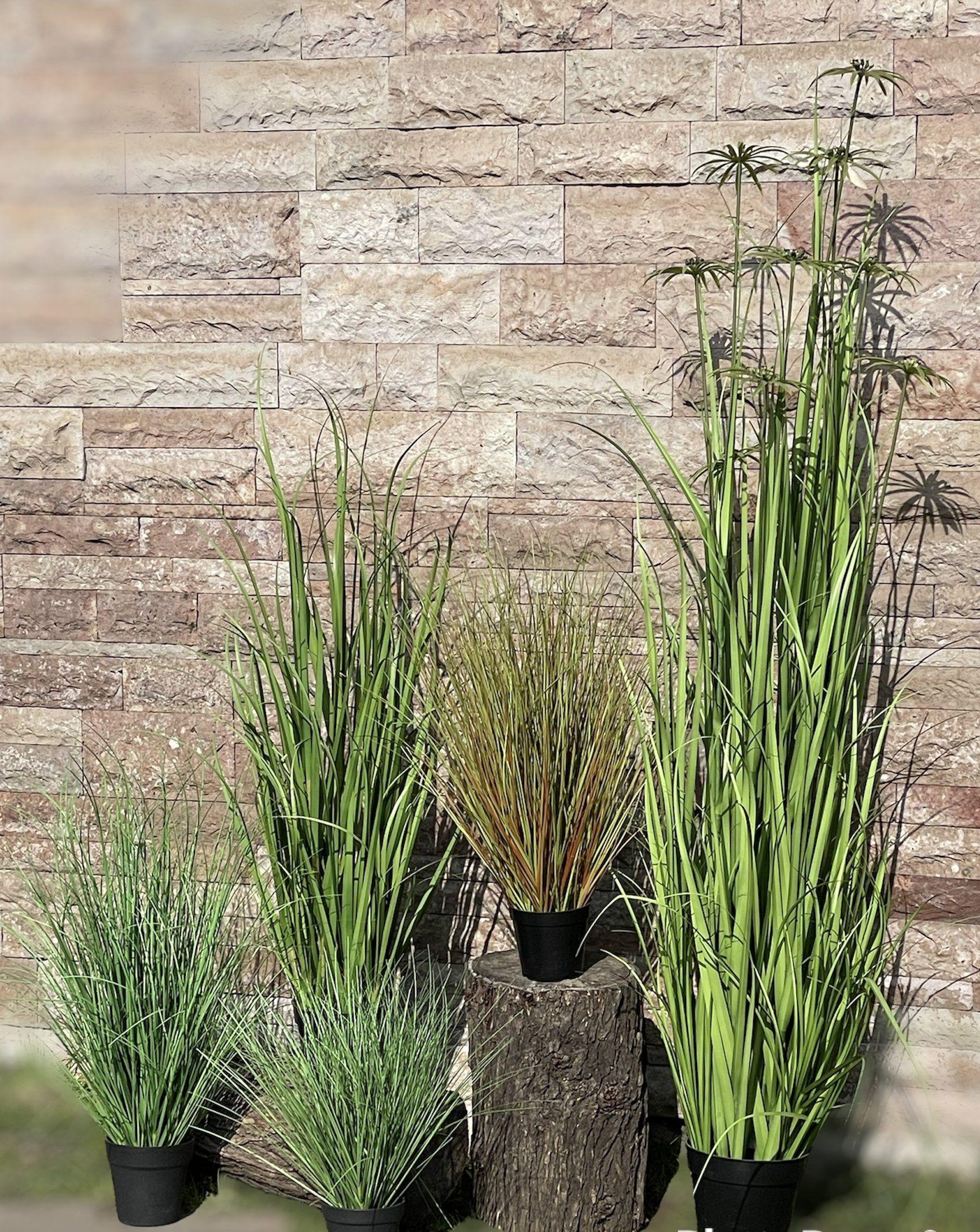 Planta Decorativa Corel Ramo Colgante Cypress Con Berry-3