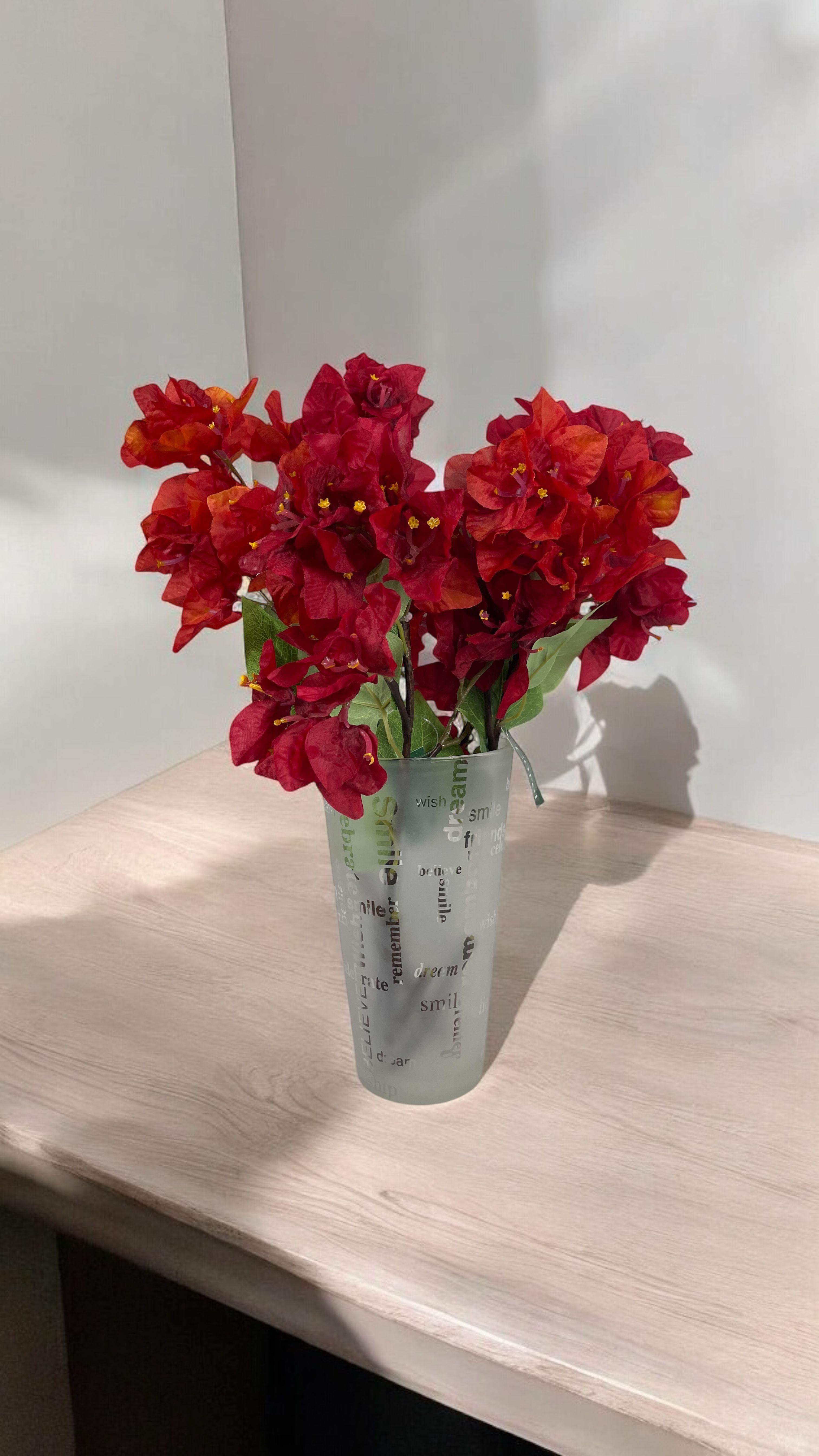 Buganvilia Roja 52cm-4
