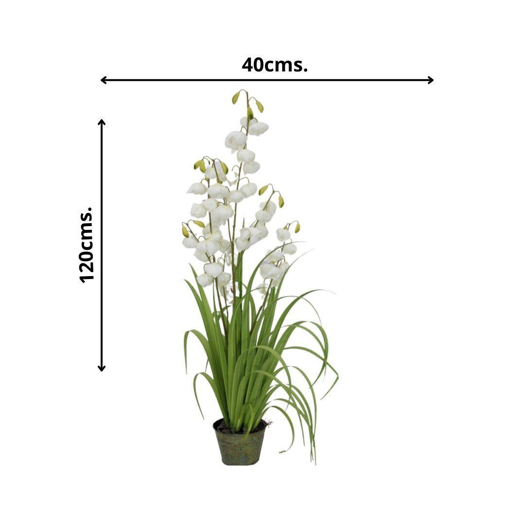 PLANTA DECORATIVA COREL PASTO CON FLOR CAMPANA 122CM-2