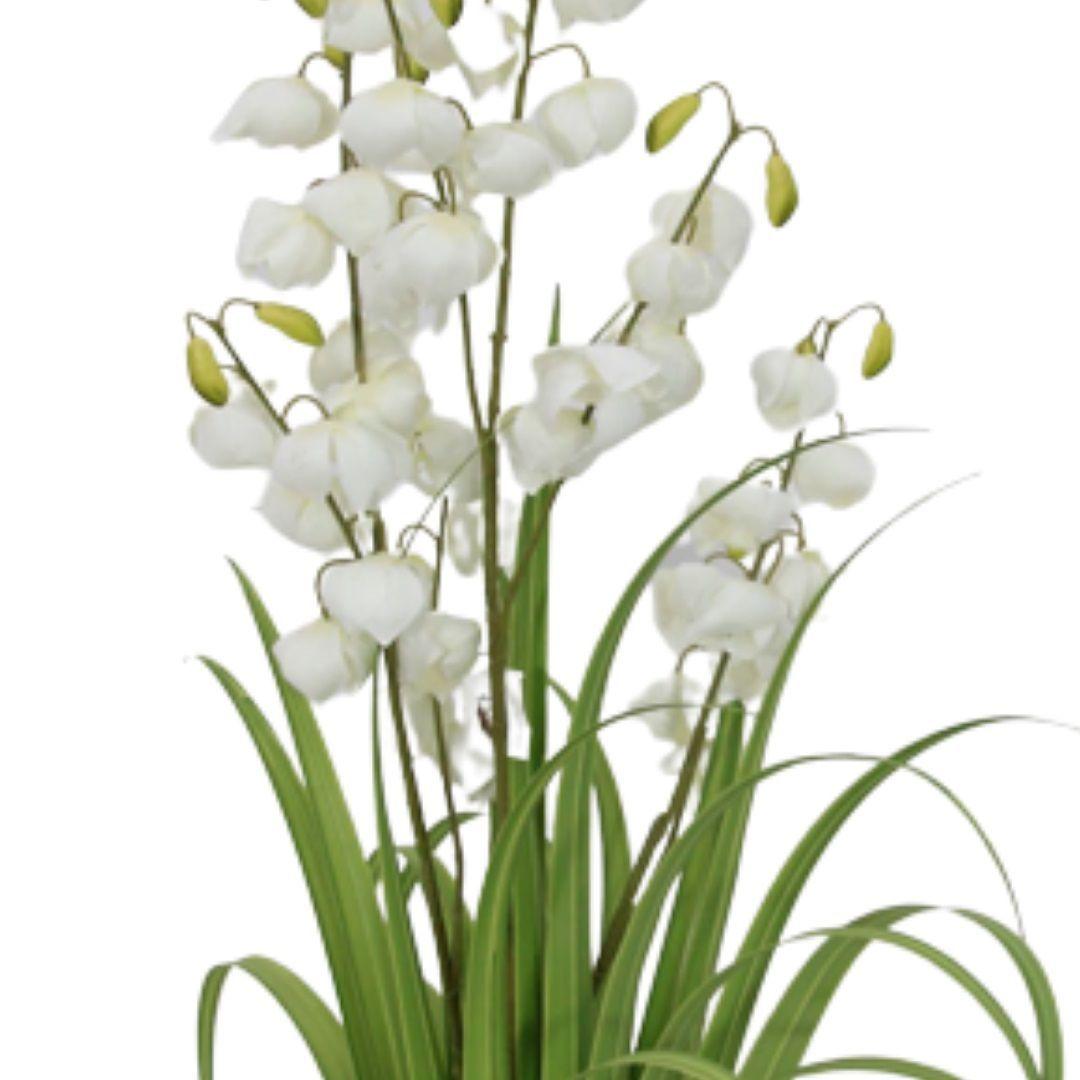 PLANTA DECORATIVA COREL PASTO CON FLOR CAMPANA 122CM-3