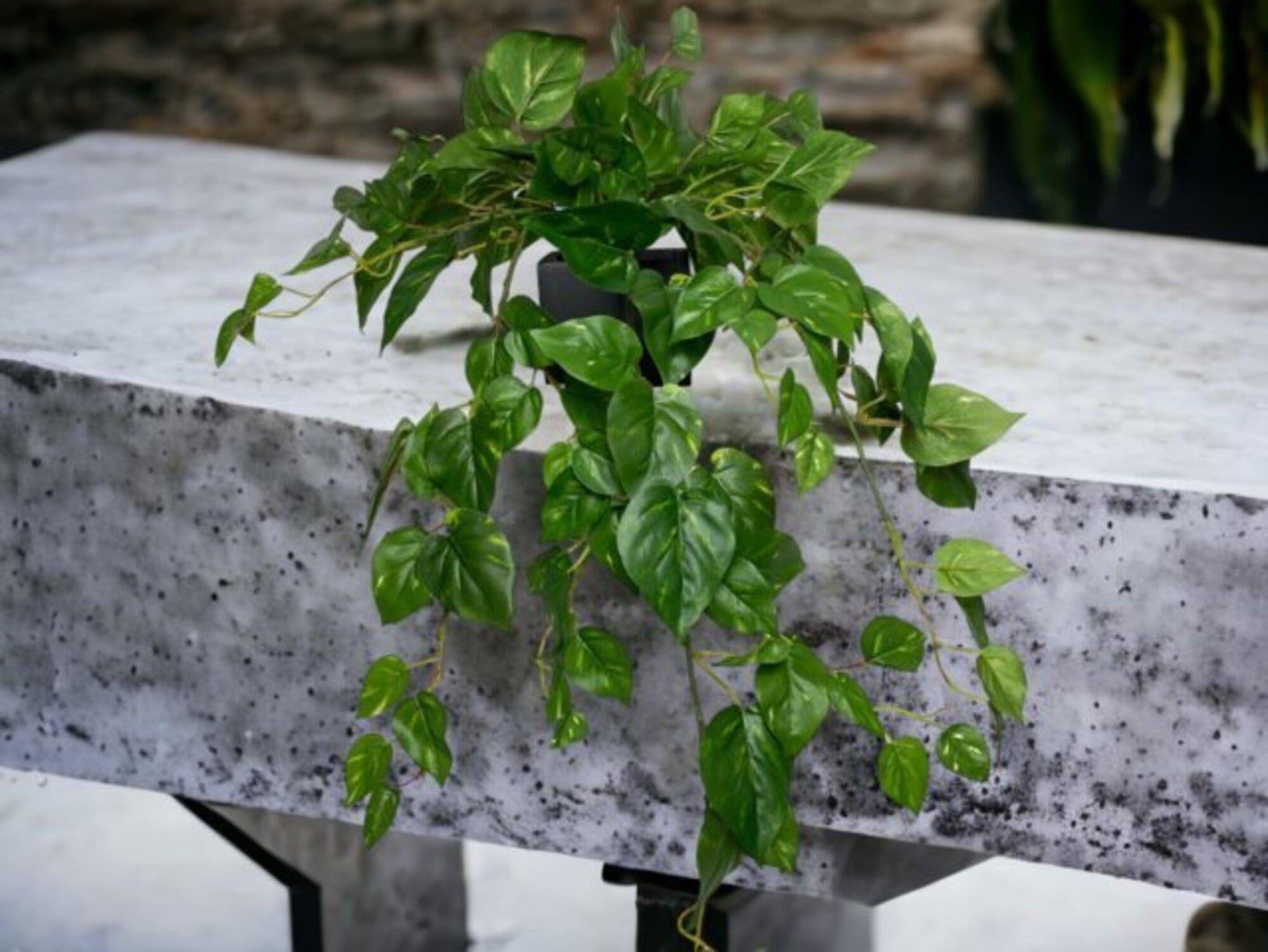 Arreglo De Hiedra Philodendro 89cm Artificial | Estilo Natural para Interiores y Vitrinas-2