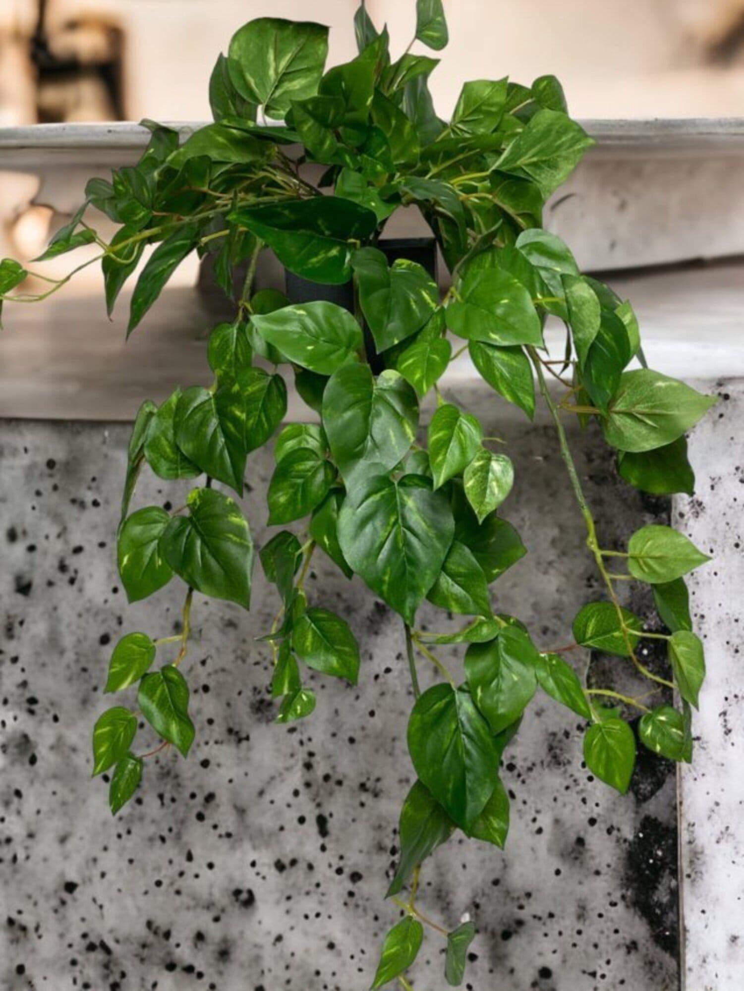 Arreglo De Hiedra Philodendro 89cm Artificial | Estilo Natural para Interiores y Vitrinas-3