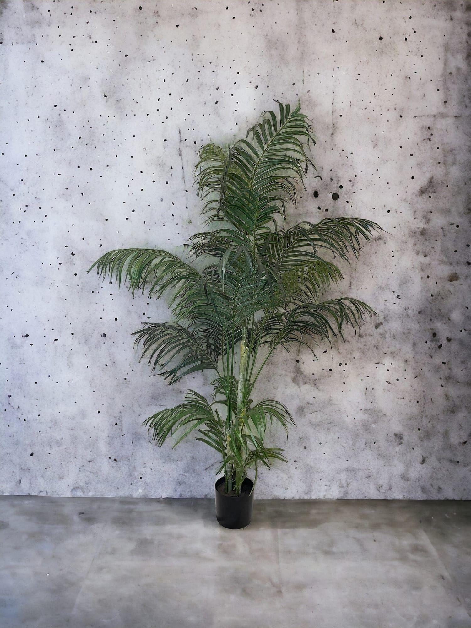 Areca 150cm Artificial | Estilo Natural para Interiores y Vitrinas-2