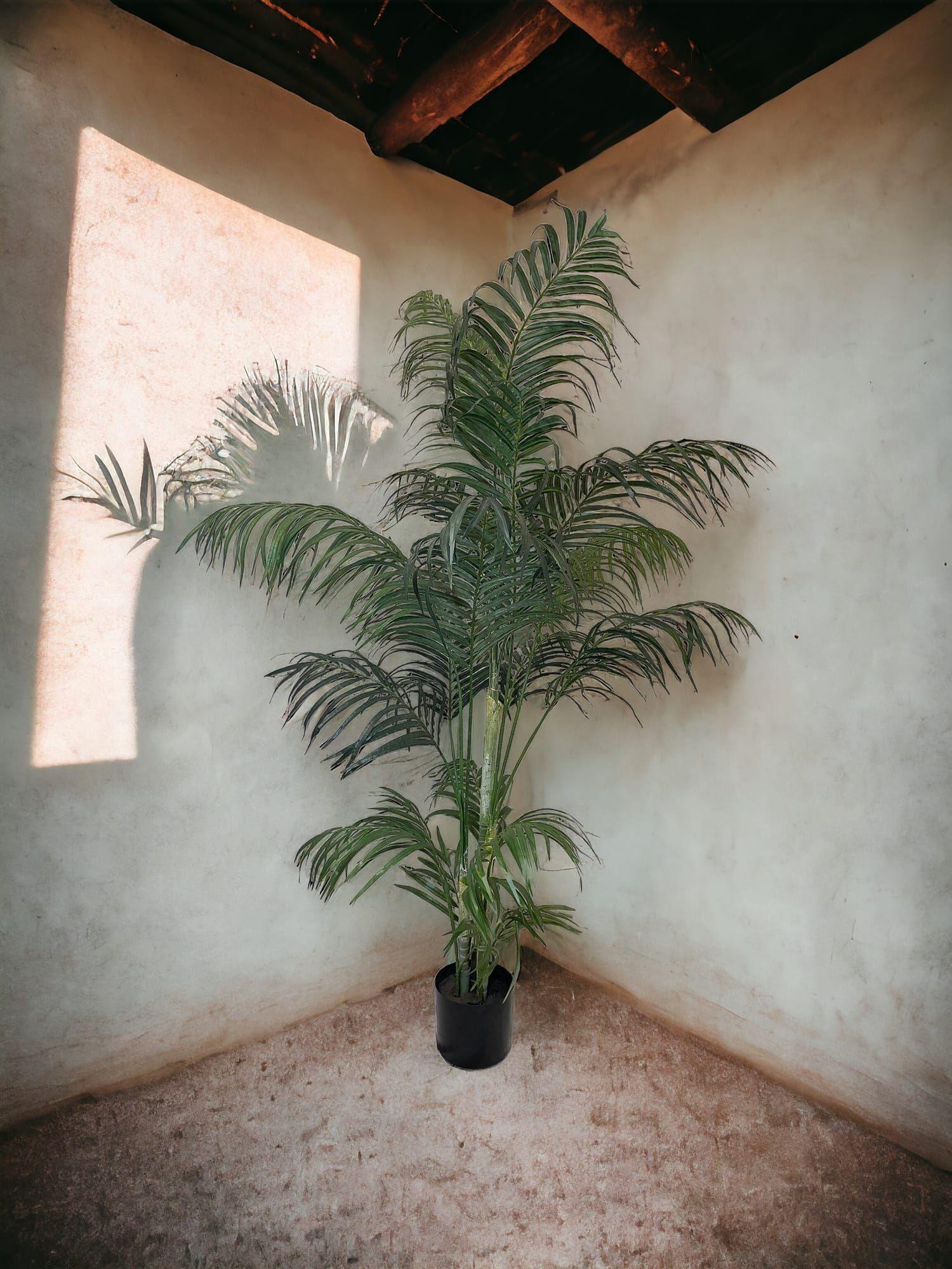 Areca 150cm Artificial | Estilo Natural para Interiores y Vitrinas-3