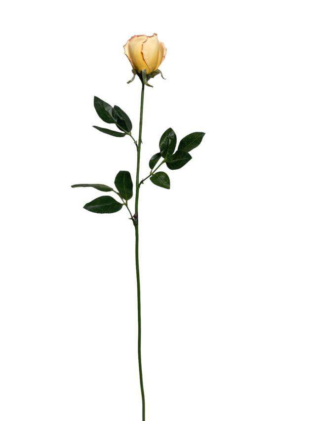 Rosa Mauve-Salmon 75cm Artificial | Estilo Natural para Interiores y Vitrinas-2