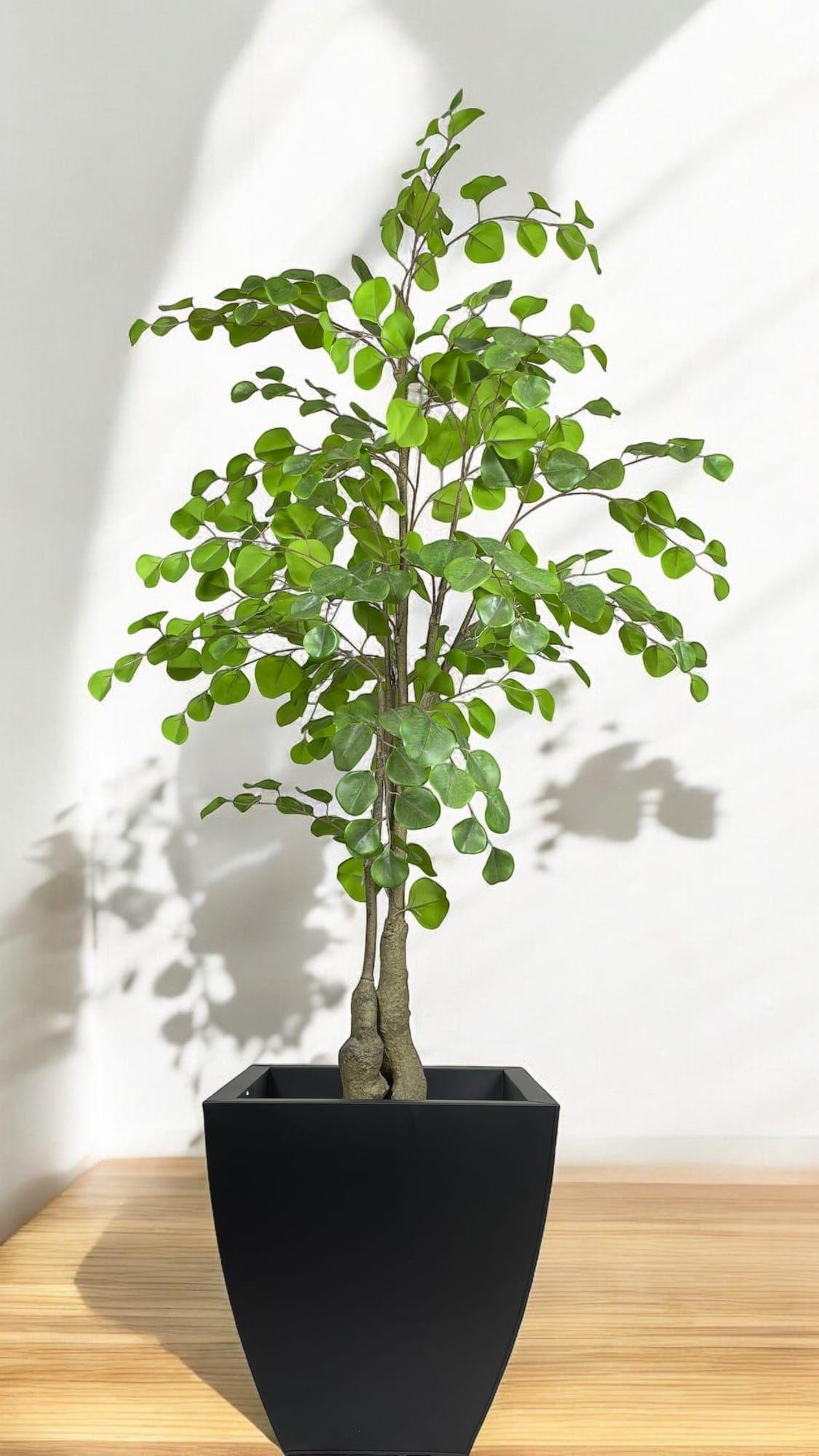 Árbol Artificial Eucalipto 150cm Artificial | Estilo Natural para Interiores y Vitrinas-2