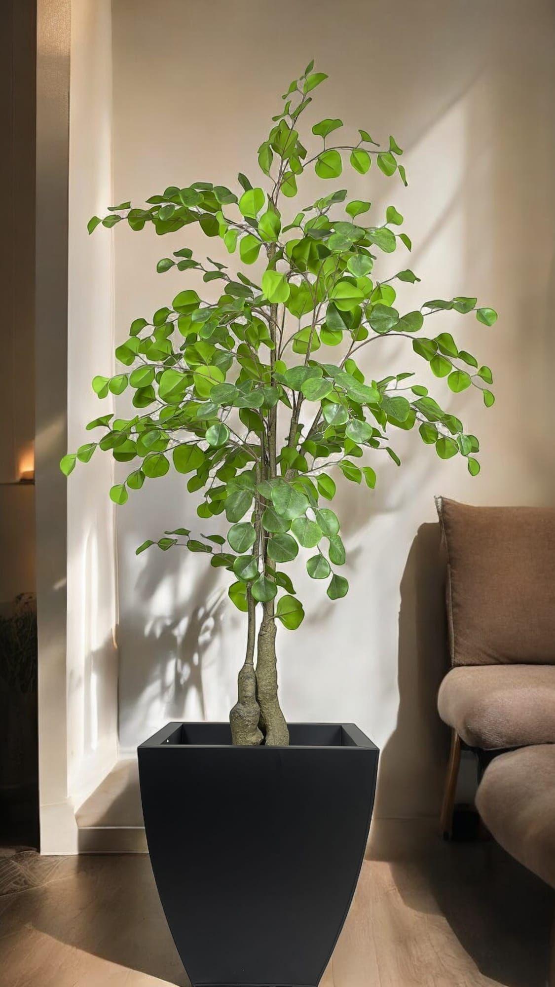 Árbol Artificial Eucalipto 150cm Artificial | Estilo Natural para Interiores y Vitrinas-4