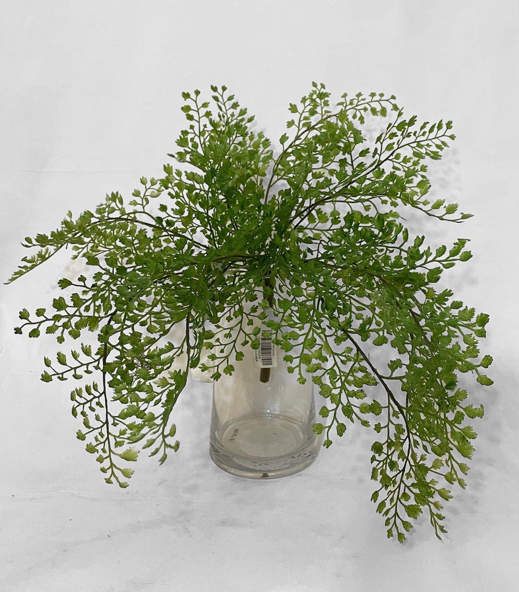 Helecho Adiantum 36cm Artificial | Estilo Natural para Interiores y Vitrinas-3