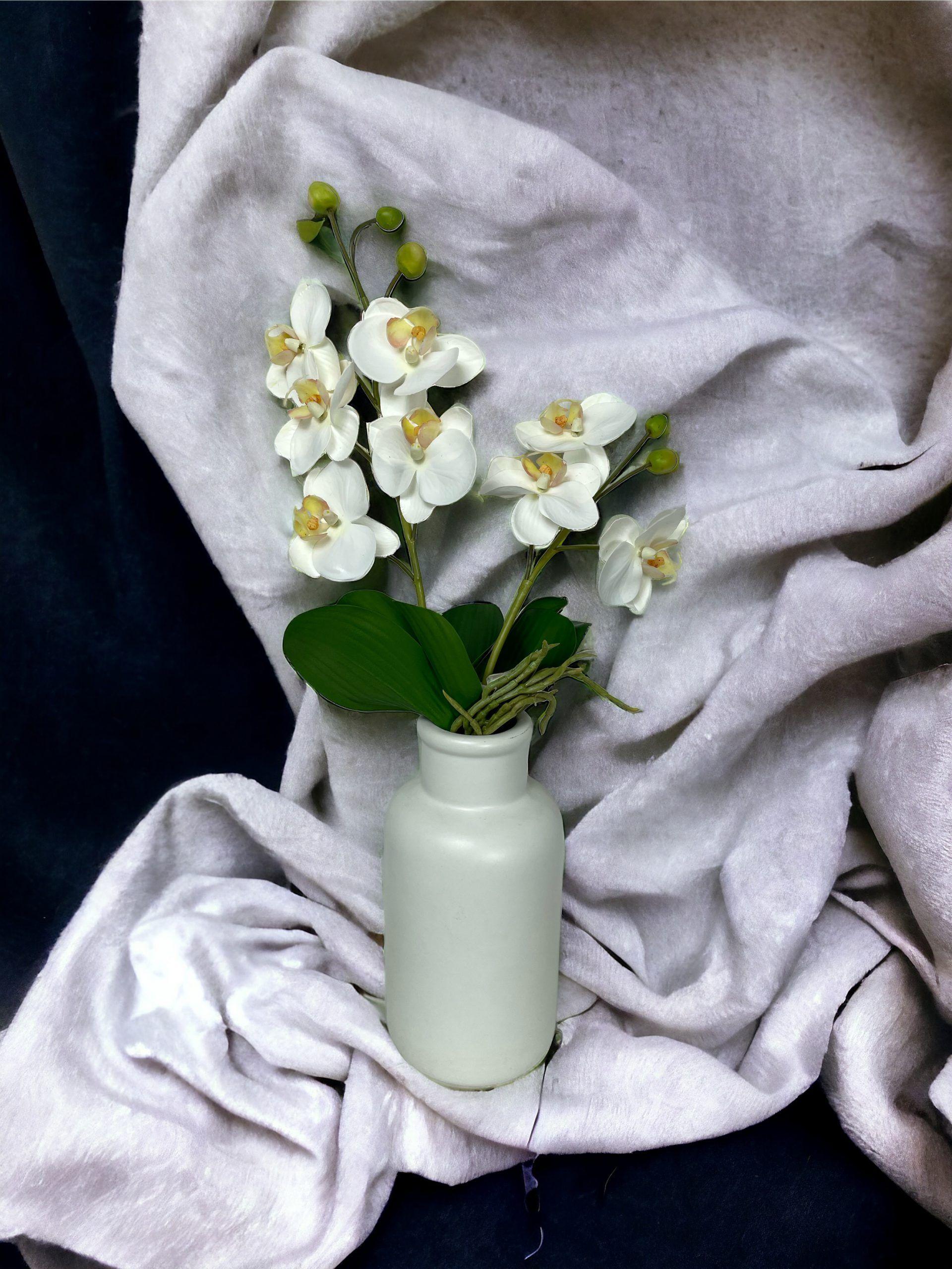 Orquidea Chica Con Hojas 30cm-3