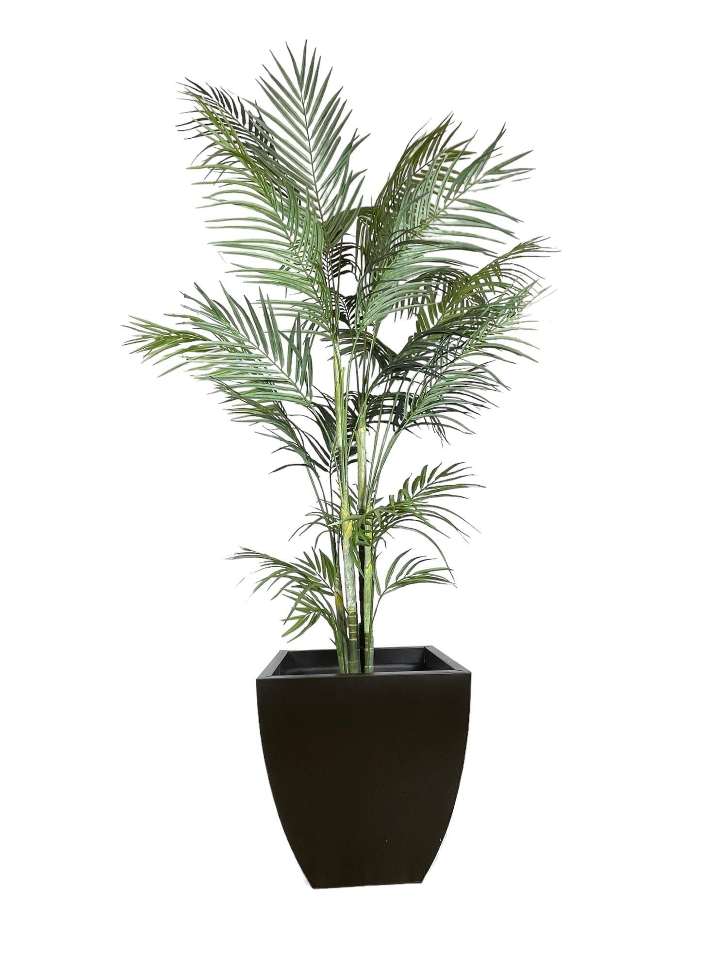 Areca 210cm Artificial | Estilo Natural para Interiores y Vitrinas-4