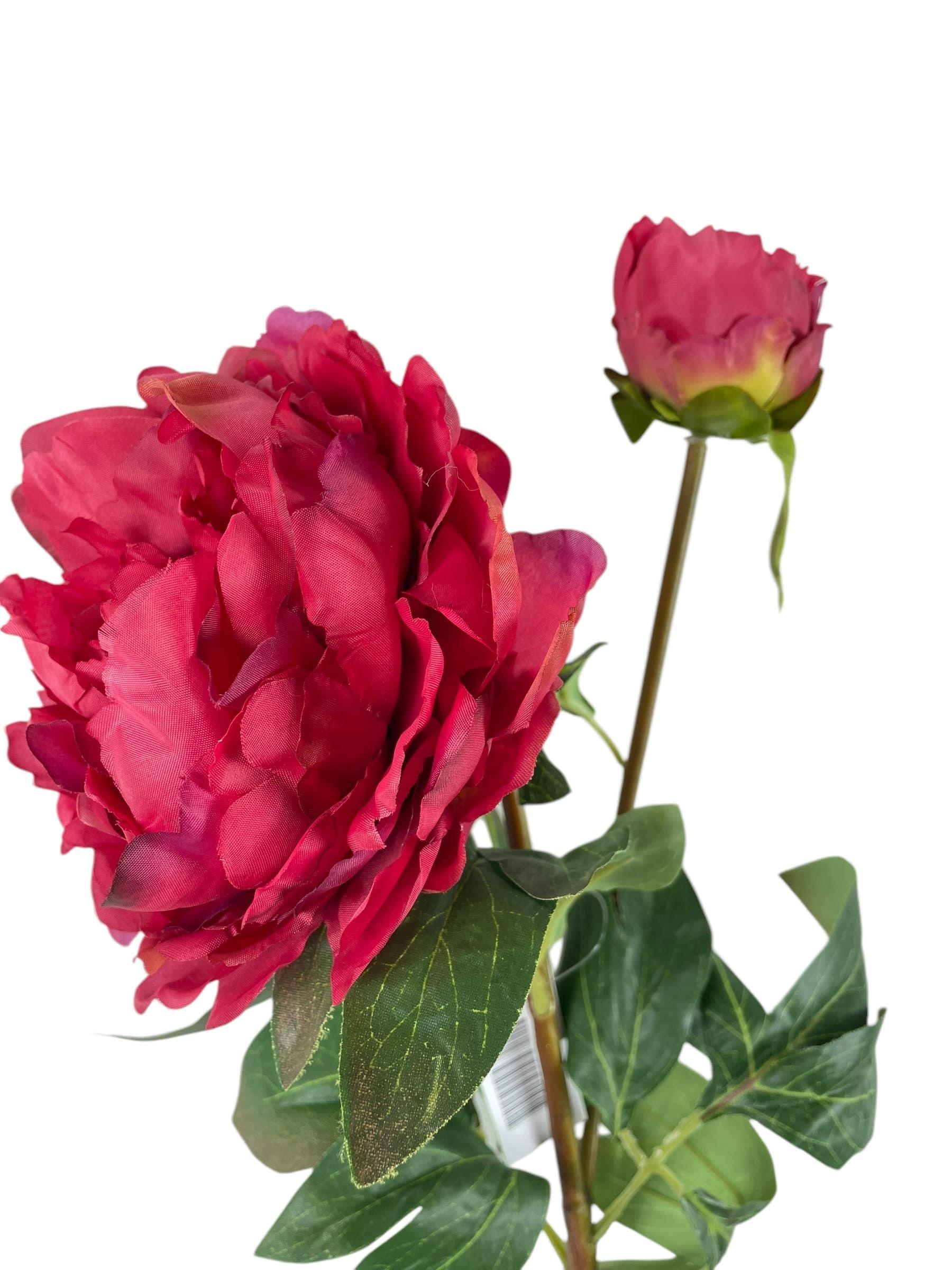 Peonía Roja con Botón 61 cm Artificial | Estilo Natural para Interiores y Vitrinas-2