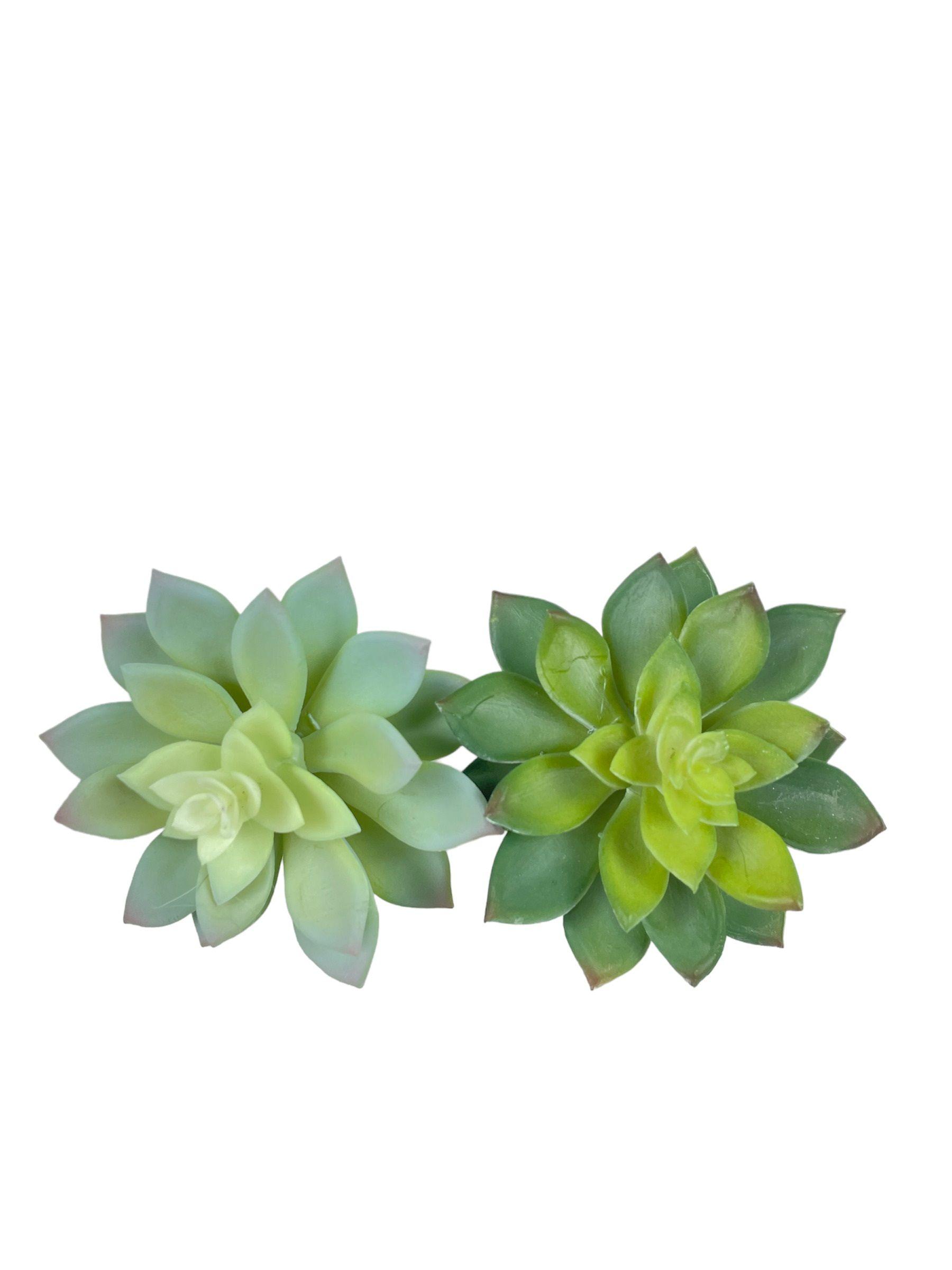 CACTUS DECORATIVO COREL ECHEVERRIA GRIS 14CM-2