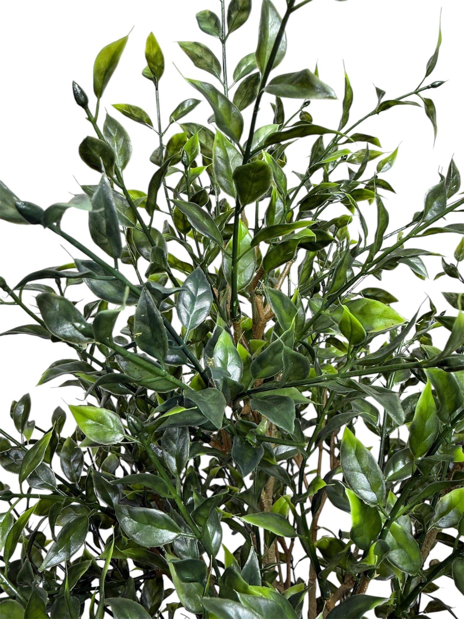 Arbusto Boxwood 76cm Artificial | Estilo Natural para Interiores y Vitrinas-2