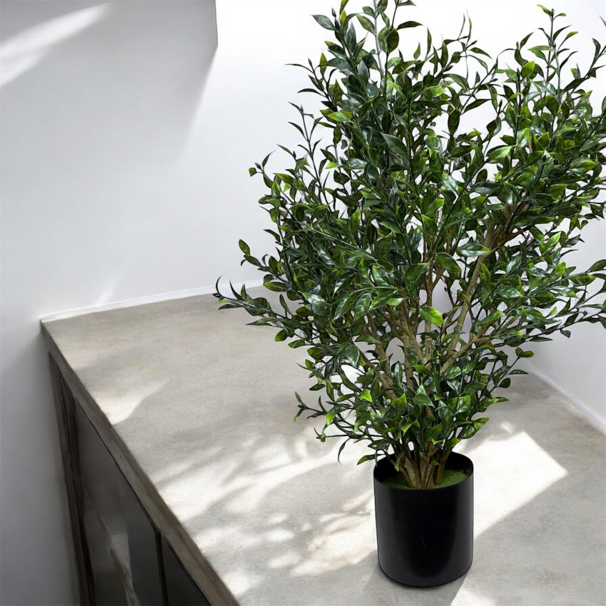 Arbusto Boxwood 76cm Artificial | Estilo Natural para Interiores y Vitrinas-3