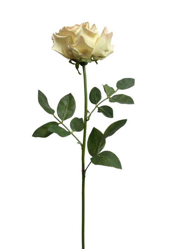 Rosa Blush Grande 75cm Artificial | Estilo Natural para Interiores y Vitrinas-3