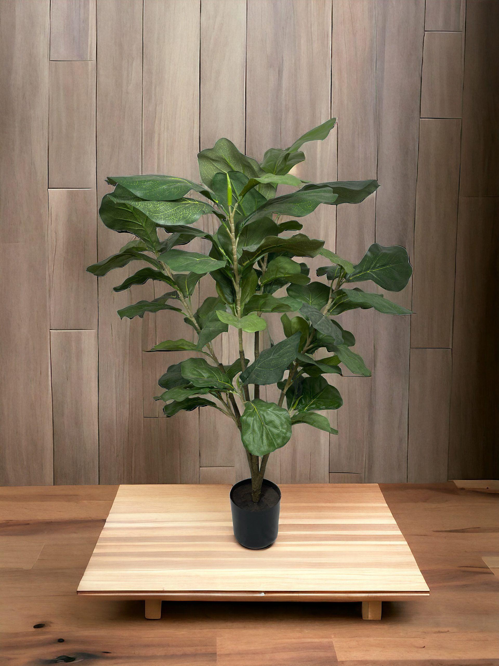 ARBOL LYRATA 90CM-3